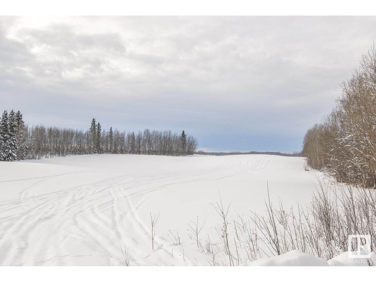 Hwy 43 And Twp Rd 534, Rural Parkland County, Alberta  T0E 0H0 - Photo 3 - E4369078