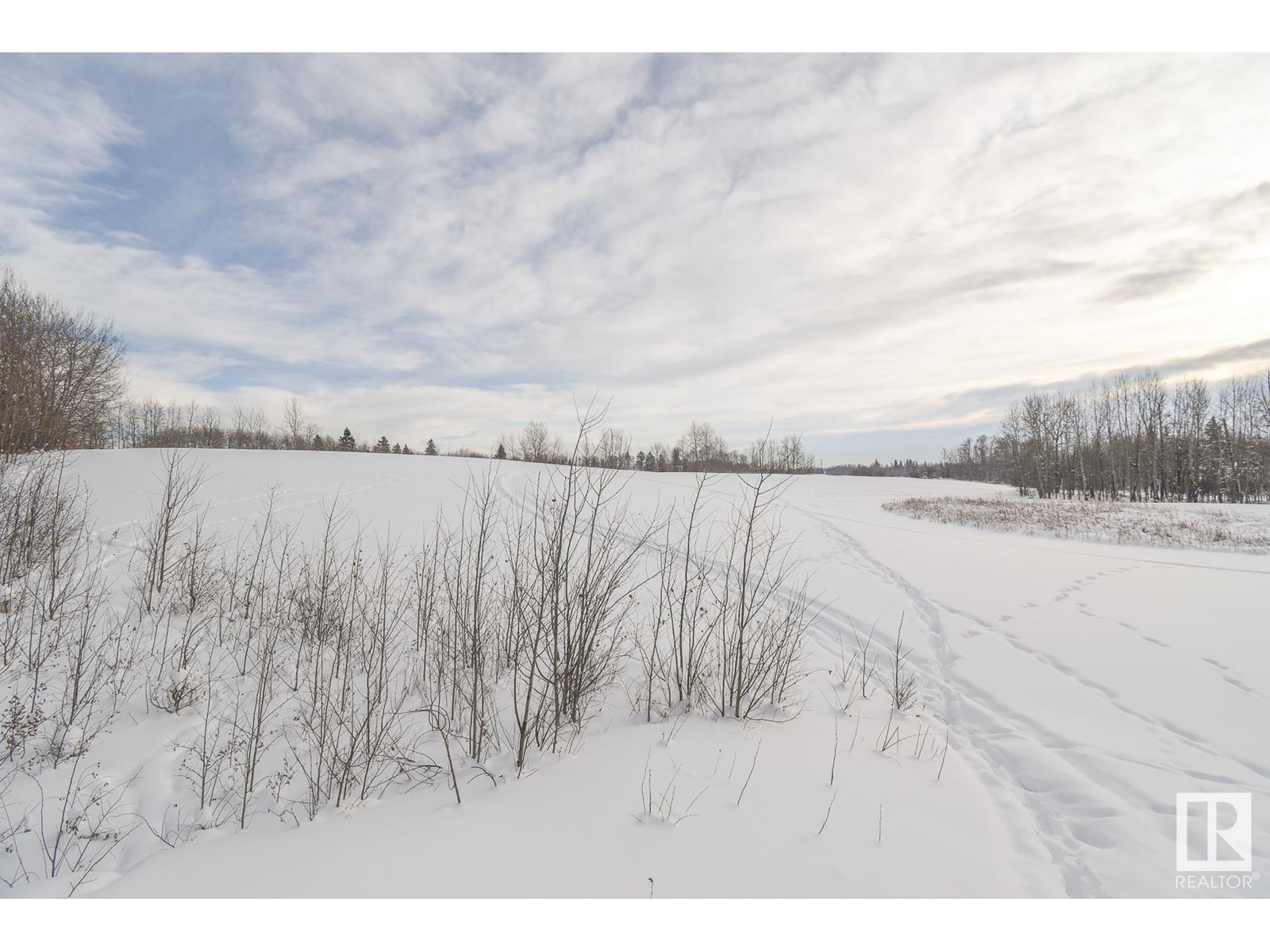 Hwy 43 And Twp Rd 534, Rural Parkland County, Alberta  T0E 0H0 - Photo 4 - E4369078