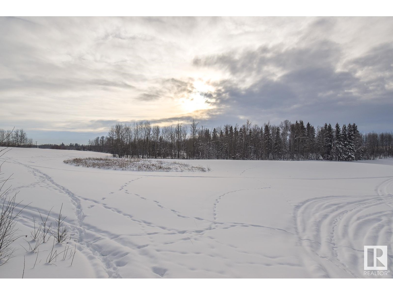 Hwy 43 And Twp Rd 534, Rural Parkland County, Alberta  T0E 0H0 - Photo 5 - E4369078