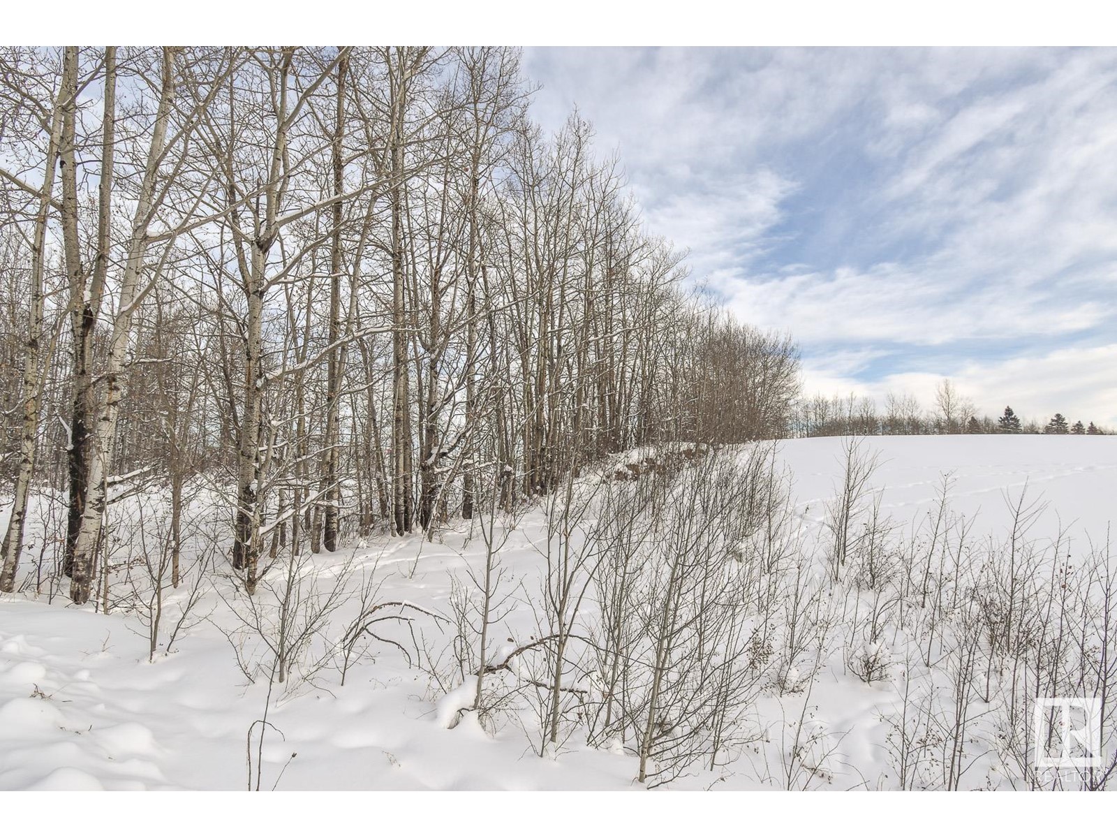 Hwy 43 And Twp Rd 534, Rural Parkland County, Alberta  T0E 0H0 - Photo 6 - E4369078