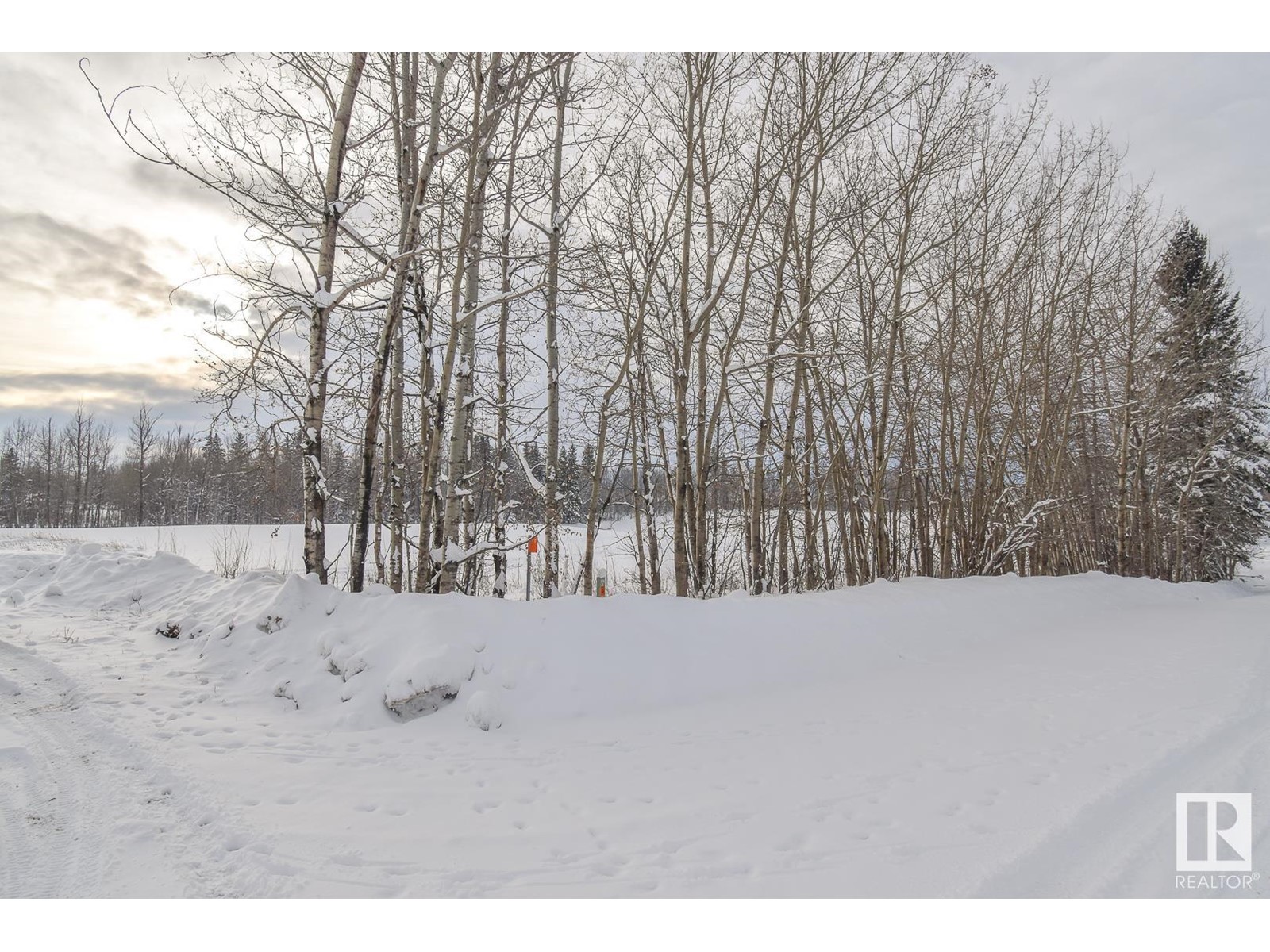 Hwy 43 And Twp Rd 534, Rural Parkland County, Alberta  T0E 0H0 - Photo 7 - E4369078