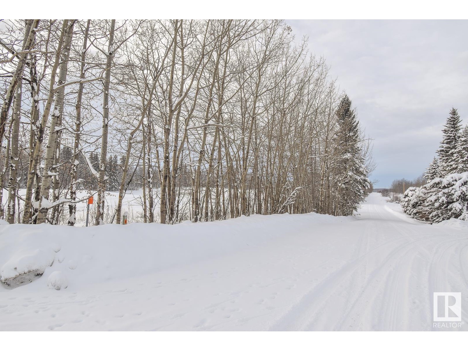 Hwy 43 And Twp Rd 534, Rural Parkland County, Alberta  T0E 0H0 - Photo 8 - E4369078