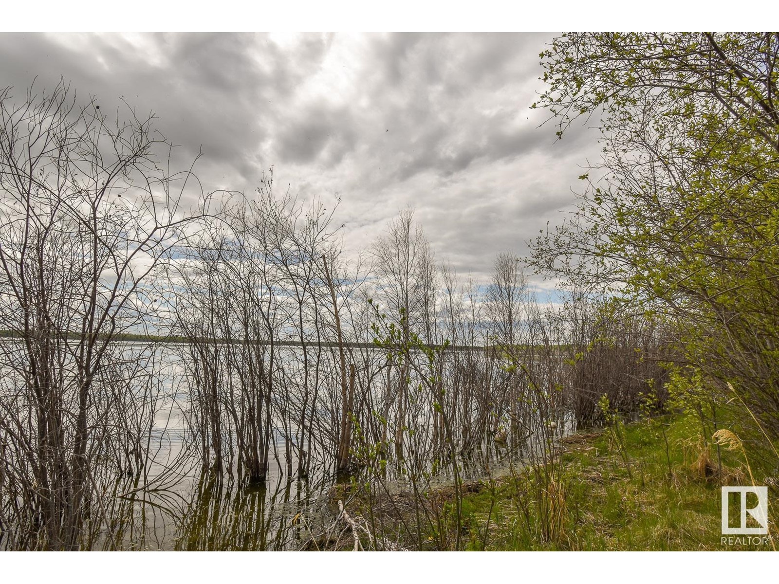 Rge Rd 51 And Twp Rd 555, Rural Lac Ste. Anne County, Alberta  T0E 0J0 - Photo 6 - E4371636