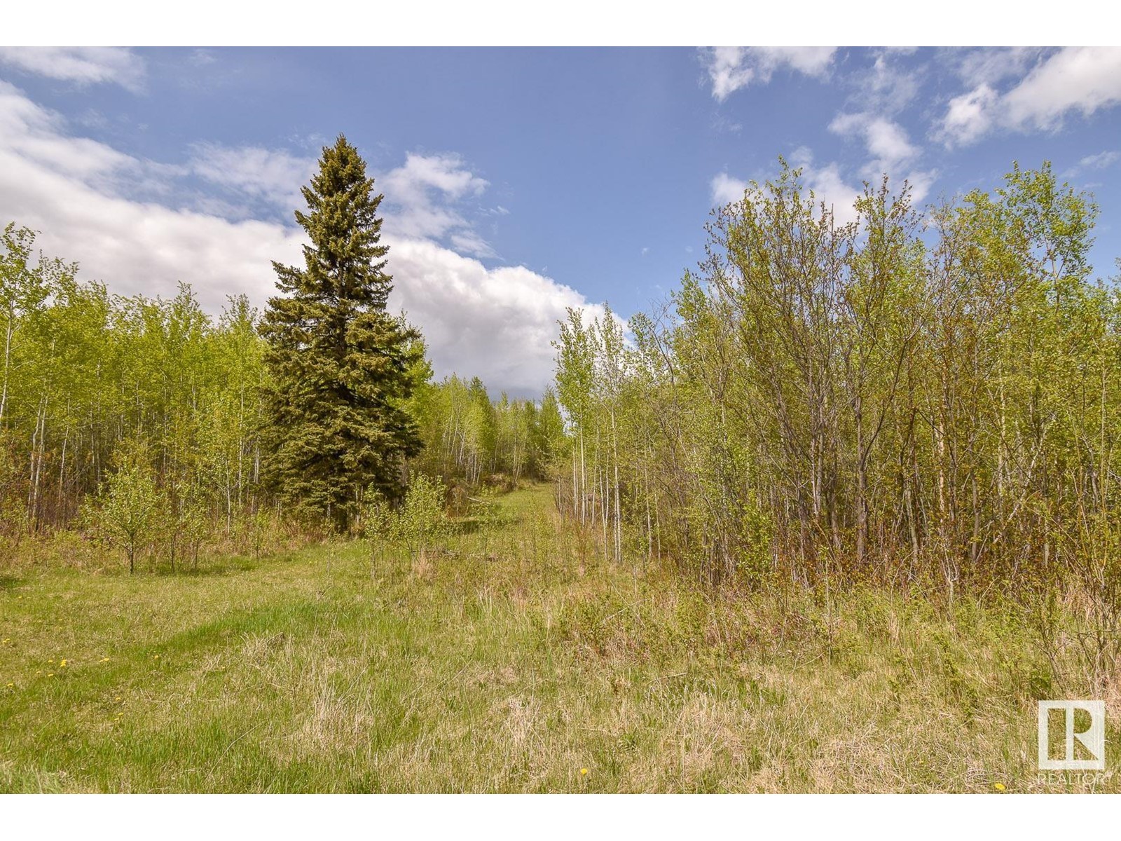 Rge Rd 51 And Twp Rd 555, Rural Lac Ste. Anne County, Alberta  T0E 0J0 - Photo 7 - E4371636