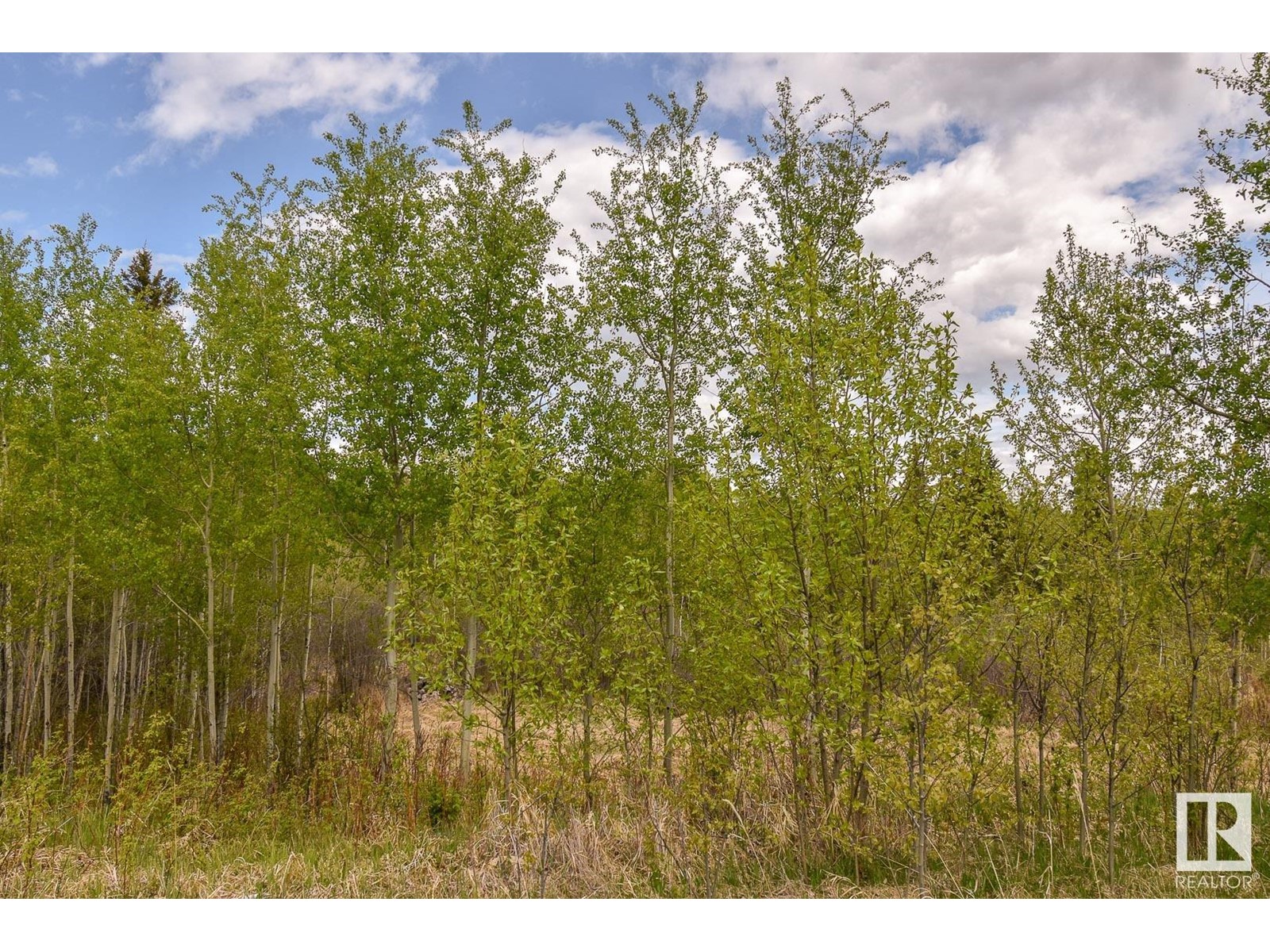 Rge Rd 51 And Twp Rd 555, Rural Lac Ste. Anne County, Alberta  T0E 0J0 - Photo 9 - E4371636