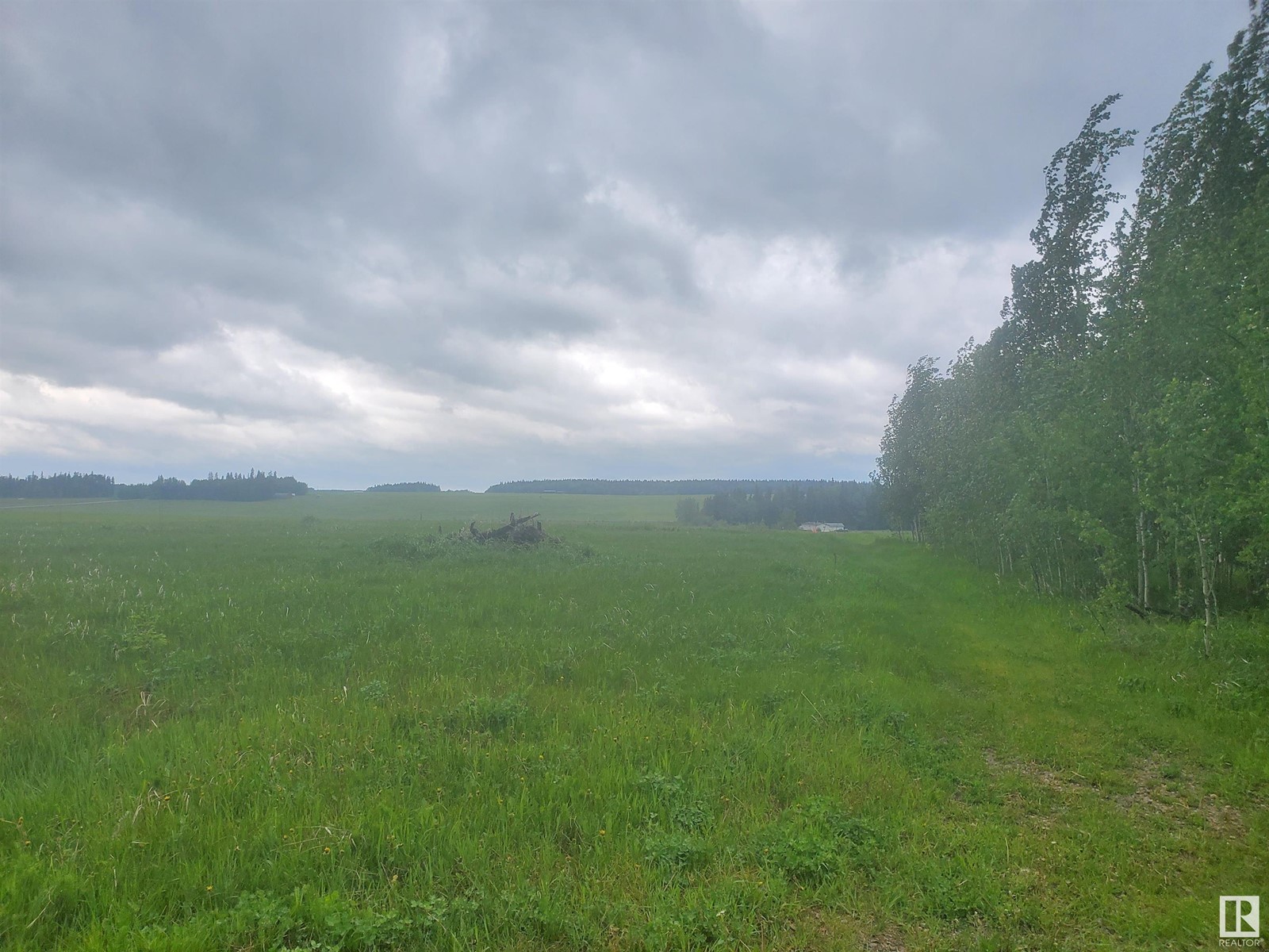 316 1 St, Rural Wetaskiwin County, Alberta  T0C 0T0 - Photo 1 - E4378580