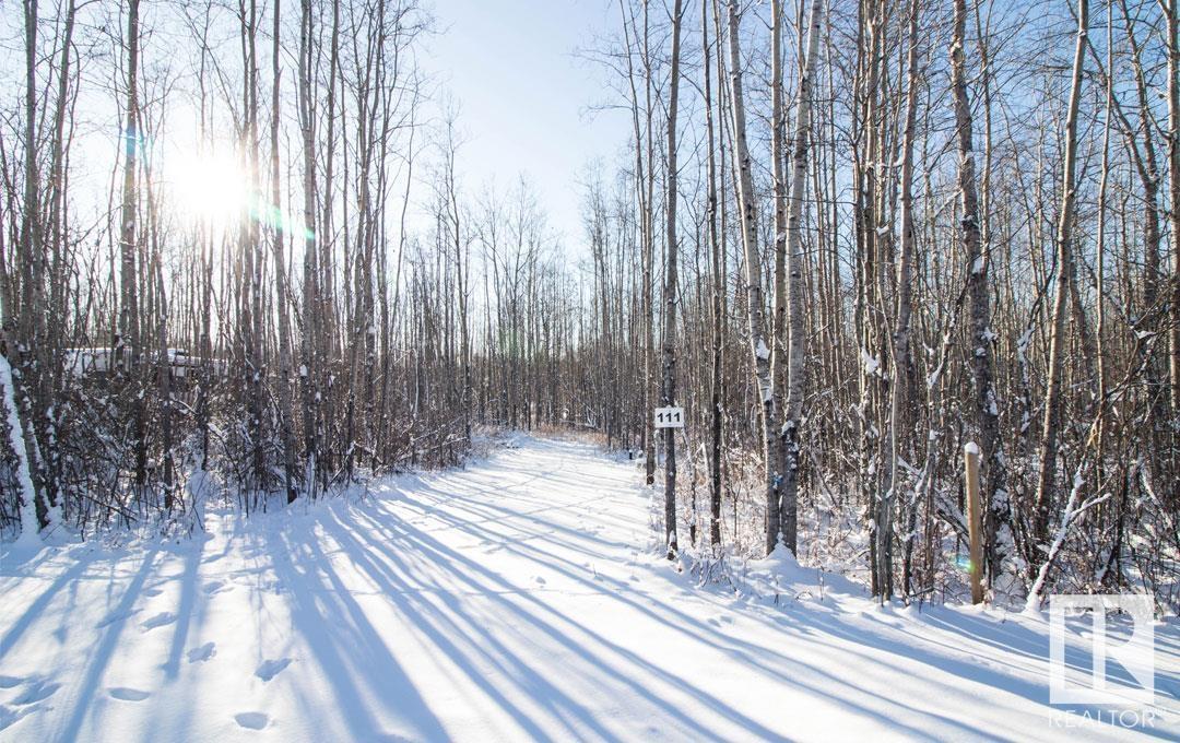 #111 5519 Twp Rd 550, Rural Lac Ste. Anne County, Alberta  T0E 0L0 - Photo 2 - E4378934