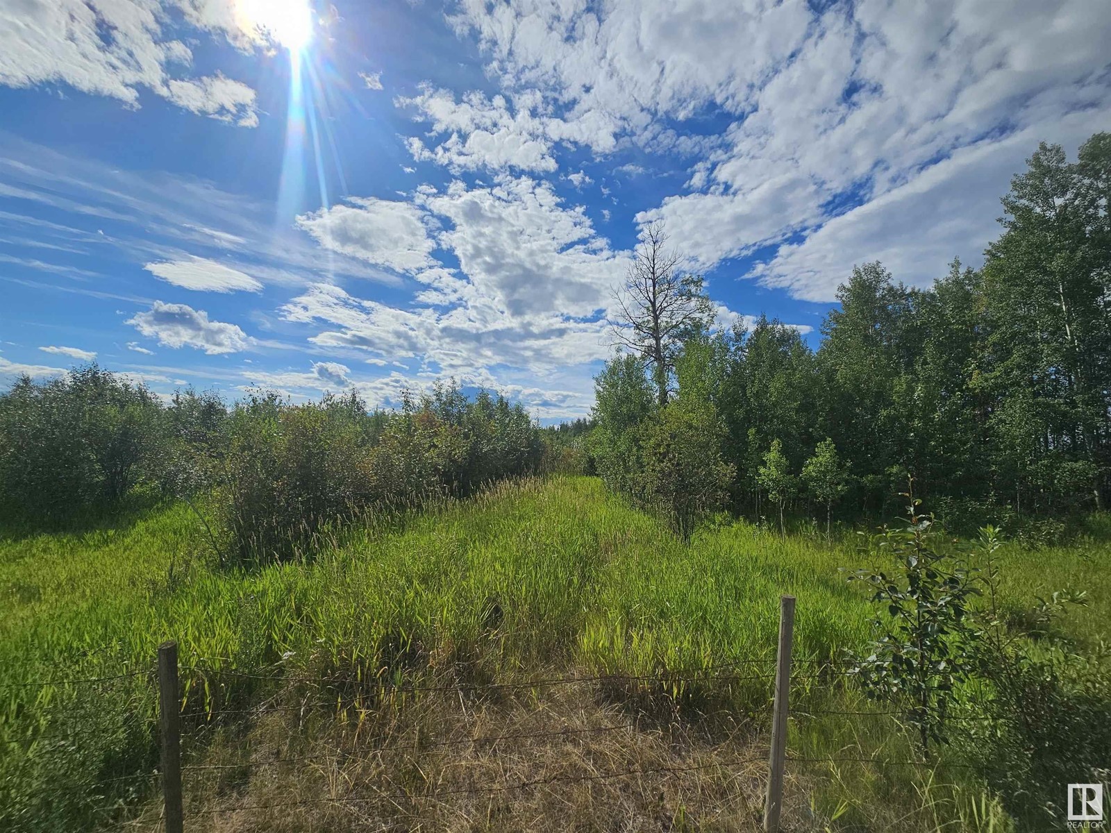 48116 Rr 85, Rural Brazeau County, Alberta  T7A 2A2 - Photo 7 - E4379227