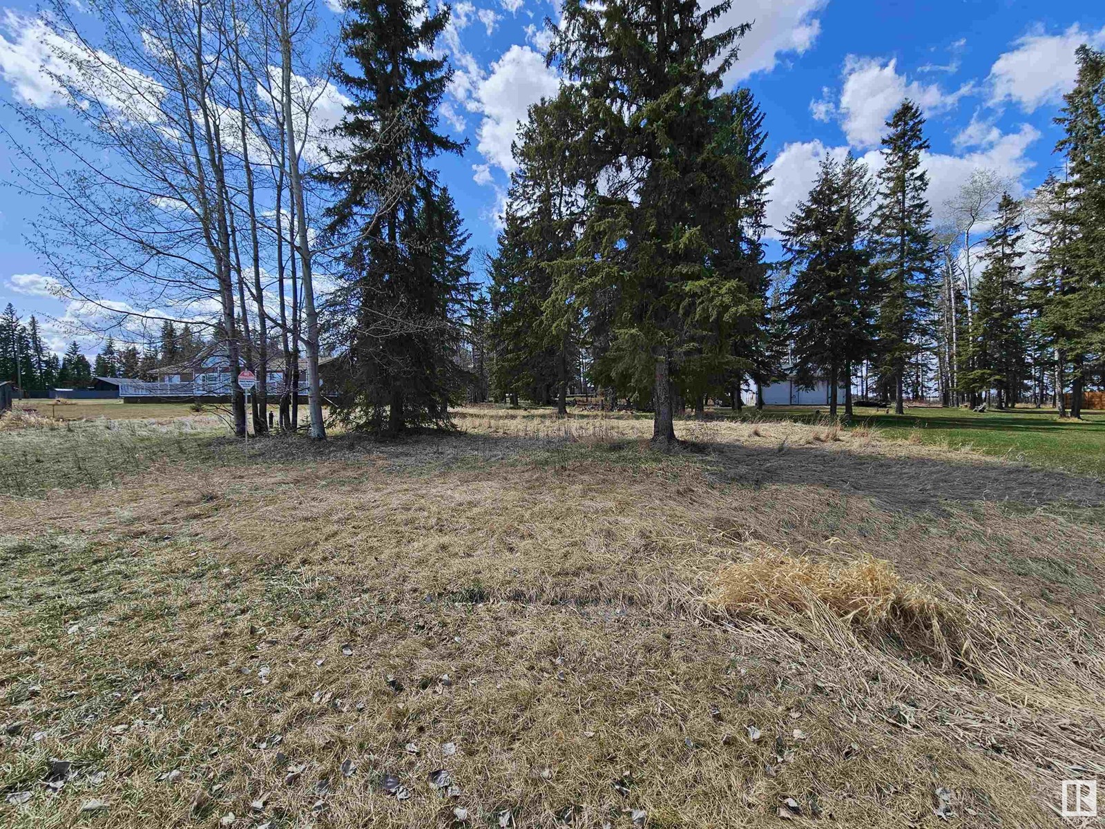 106 2 St W, Rural Wetaskiwin County, Alberta  T0C 0T0 - Photo 3 - E4385544