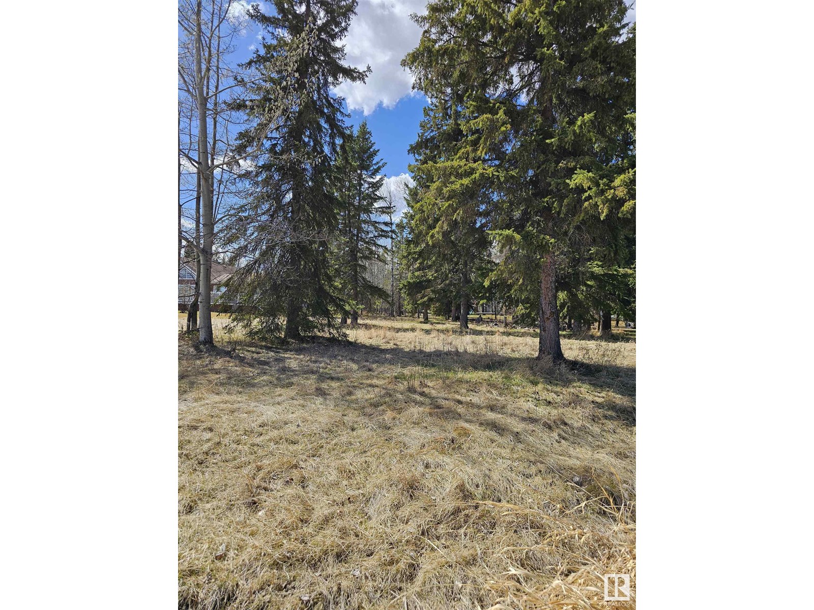 106 2 St W, Rural Wetaskiwin County, Alberta  T0C 0T0 - Photo 5 - E4385544