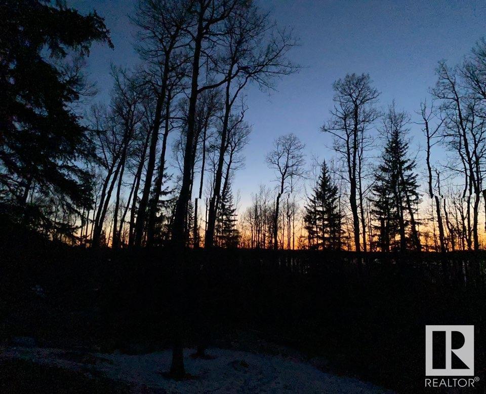 42,55061 Twp Rd 462 - Maywood, Rural Wetaskiwin County, Alberta  T0C 0T0 - Photo 29 - E4385675