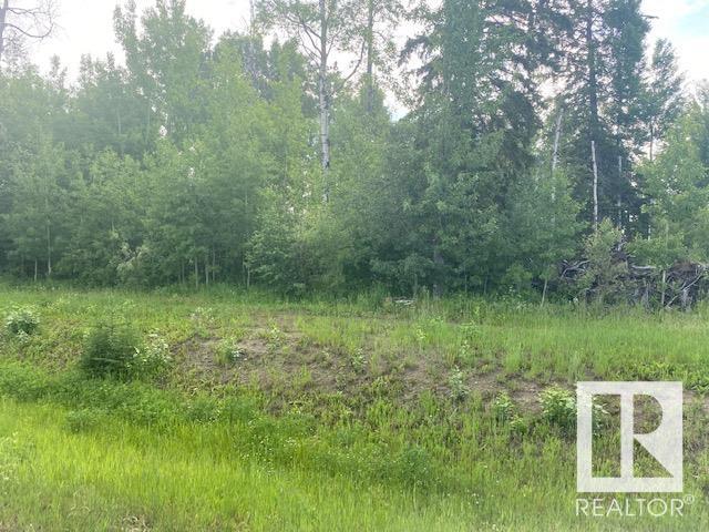 12 Fraser Dr, Breton, Alberta  T0C 0P0 - Photo 2 - E4386117