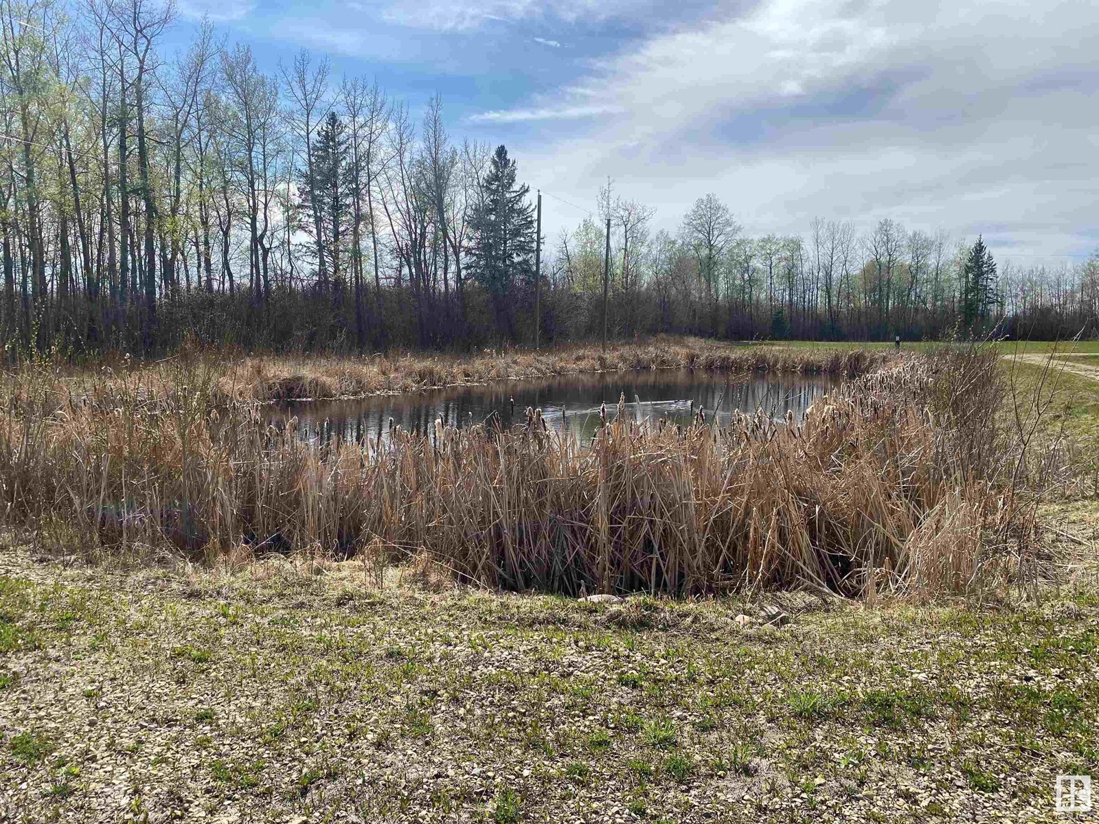 Nw 1 47 28 W4, Rural Wetaskiwin County, Alberta  T0C 2P0 - Photo 4 - E4387128