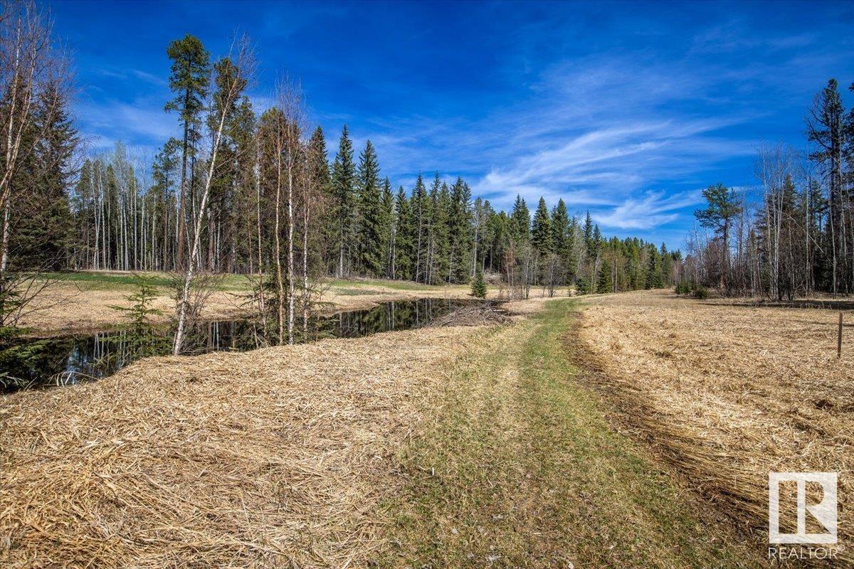 Lot# 1 465011 Rge Rd 64, Rural Wetaskiwin County, Alberta  T0C 0T0 - Photo 10 - E4387880