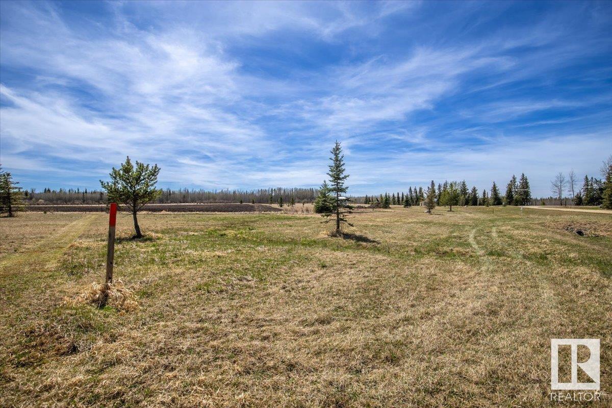 Lot# 8 456011 Rge Rd 64, Rural Wetaskiwin County, Alberta  T0C 0T0 - Photo 2 - E4387883