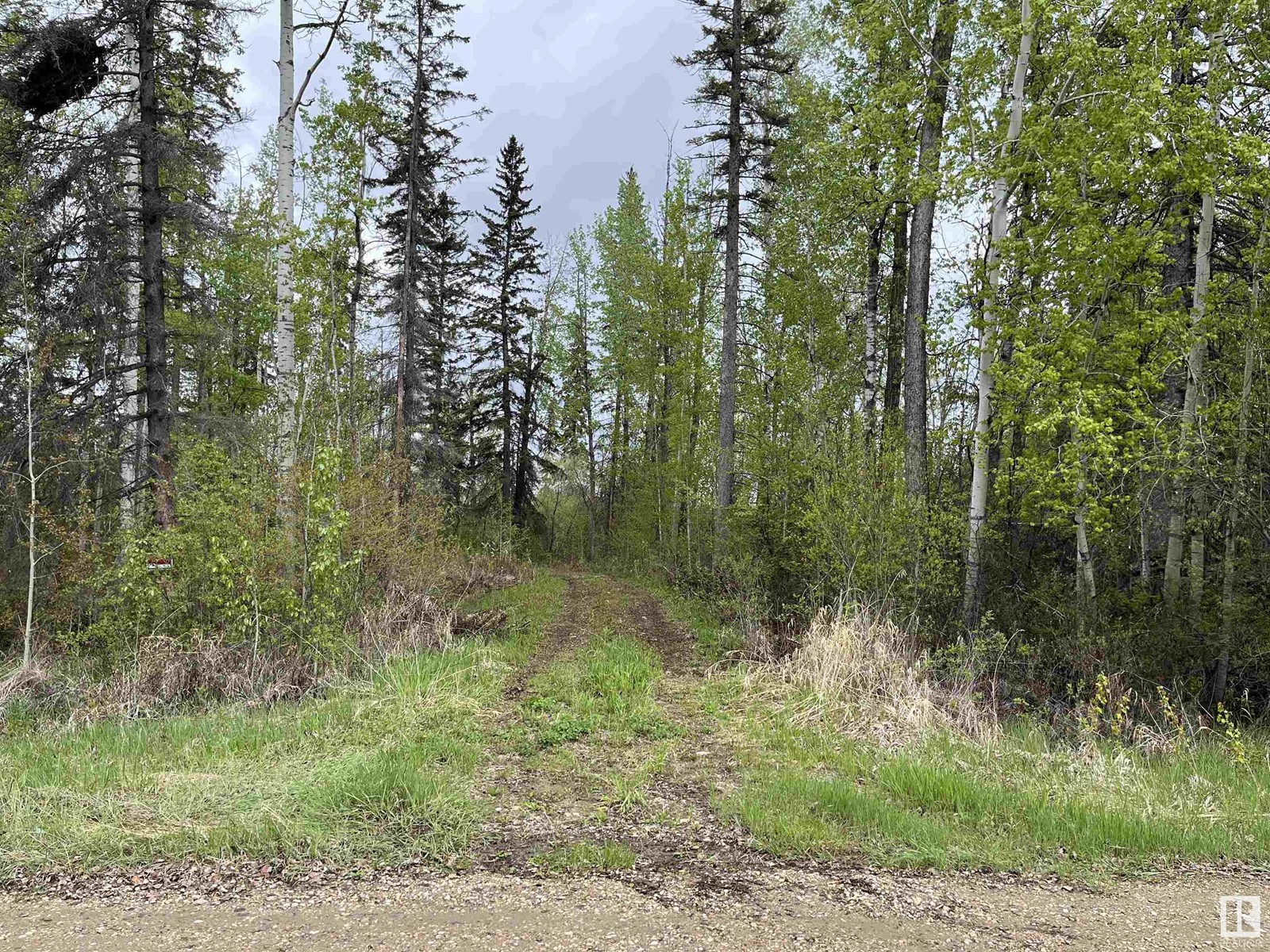 606 55504 Nikoodi Rd, Glenevis, Alberta  T0E 0X0 - Photo 11 - E4388891