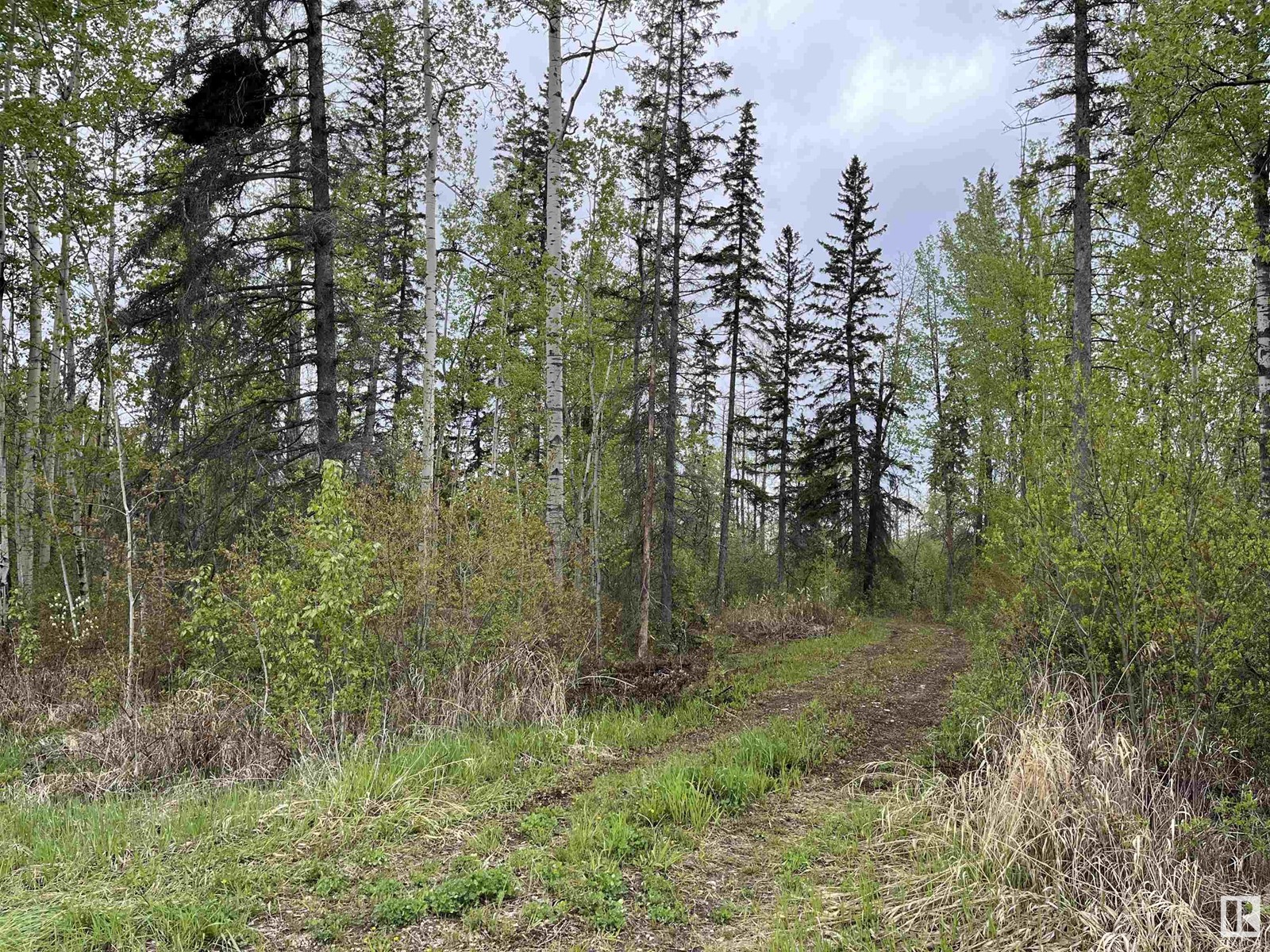 606 55504 Nikoodi Rd, Glenevis, Alberta  T0E 0X0 - Photo 2 - E4388891