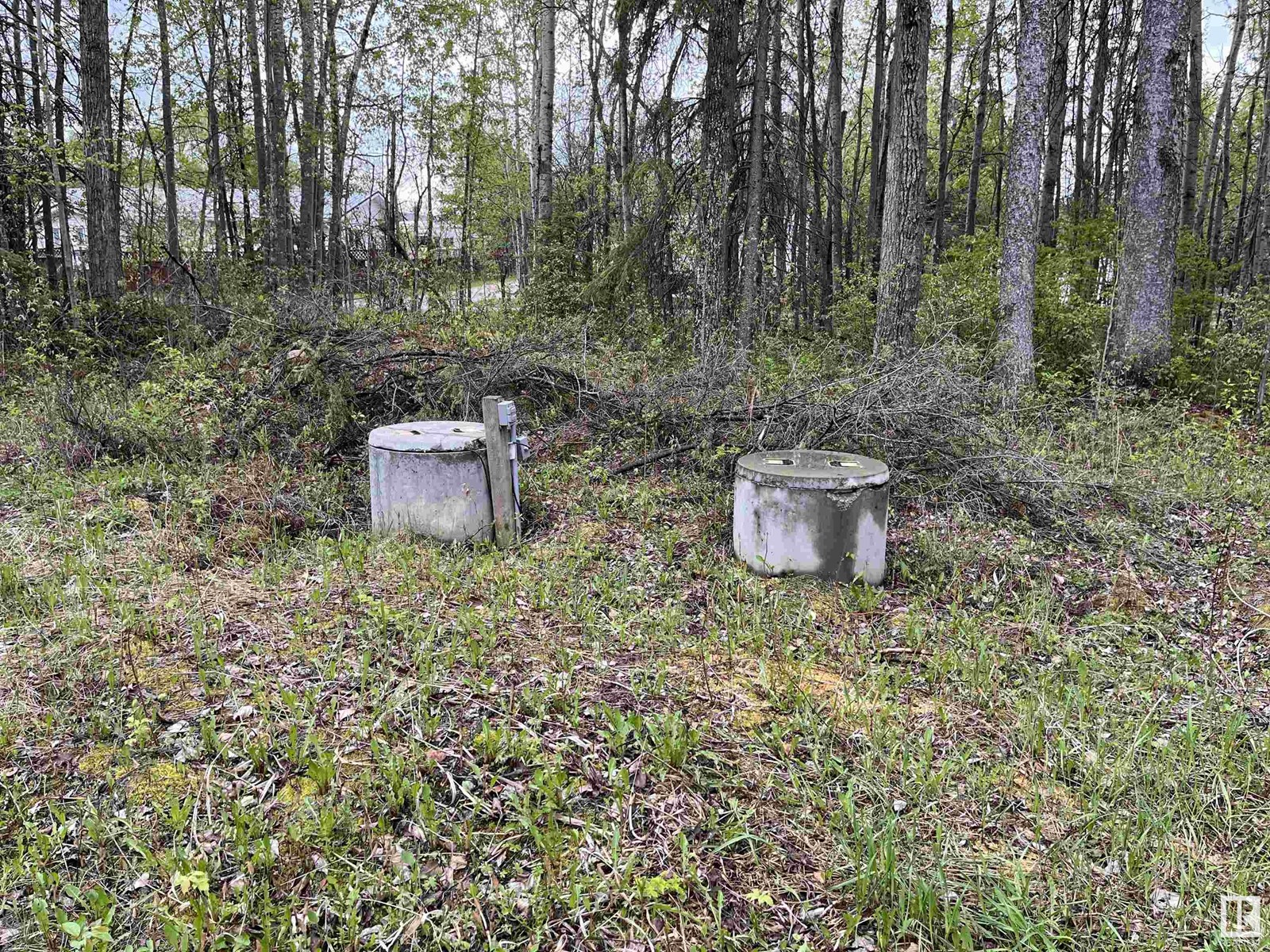 606 55504 Nikoodi Rd, Glenevis, Alberta  T0E 0X0 - Photo 5 - E4388891