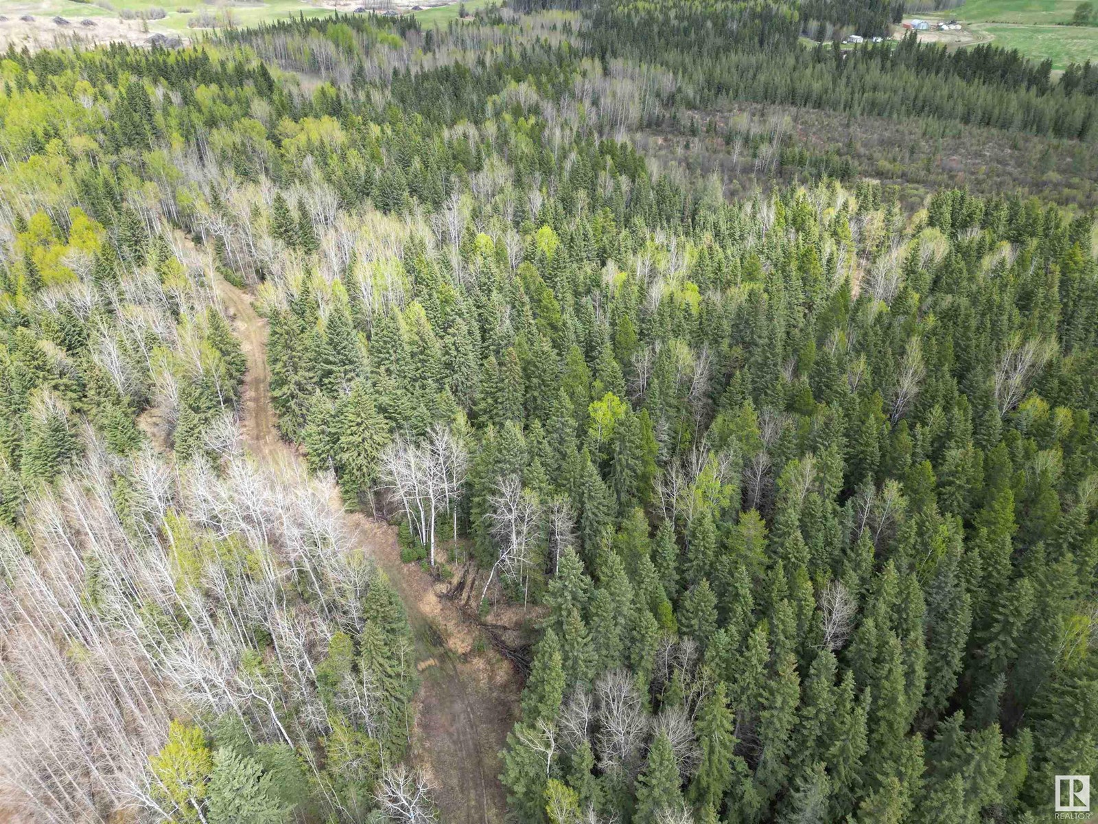 Sw 23 46 4 W5, Rural Wetaskiwin County, Alberta  T0C 2X0 - Photo 10 - E4389049