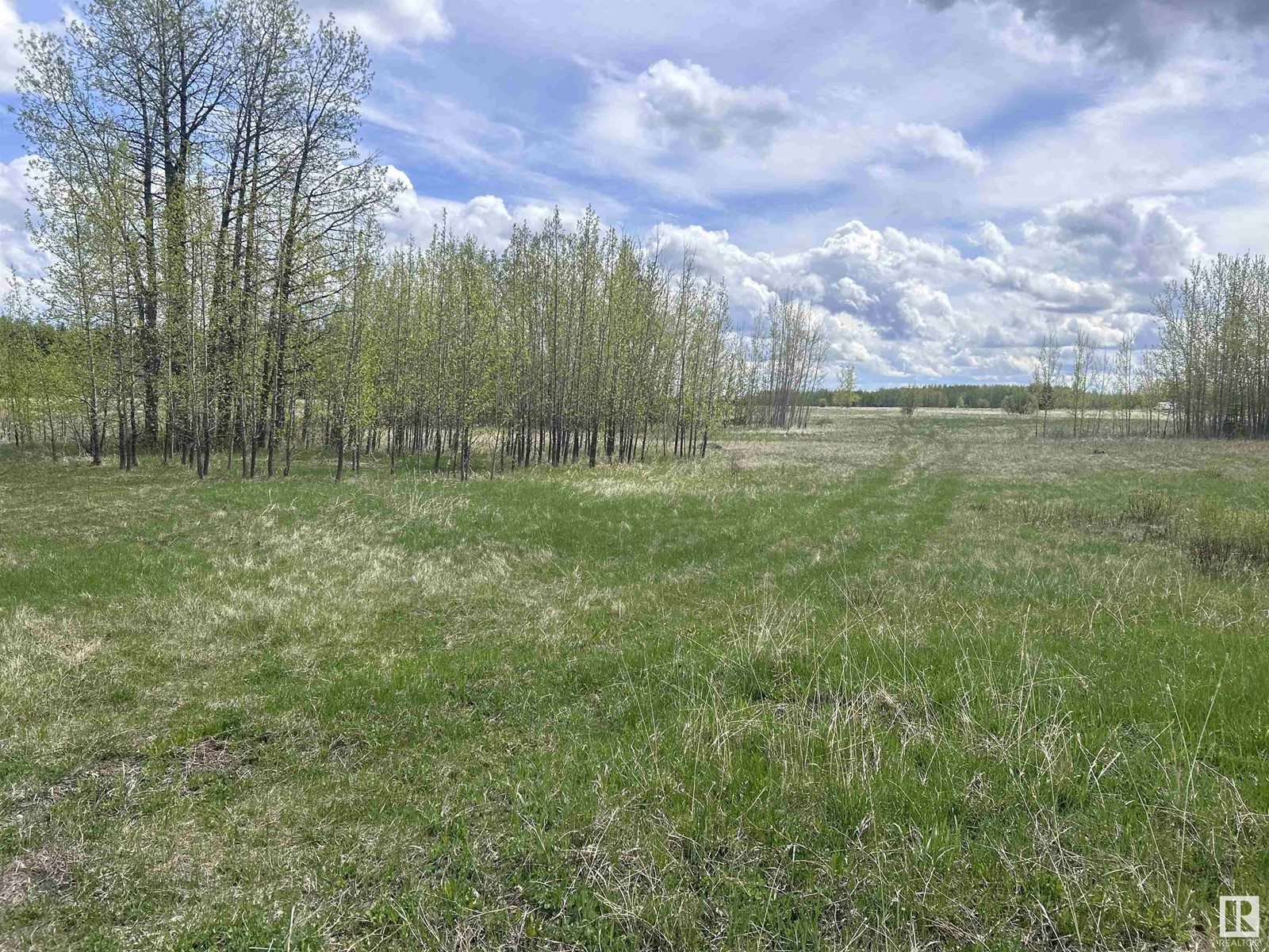 206 49505 Range Road 80, Rural Brazeau County, Alberta  T7A 0C1 - Photo 1 - E4389279