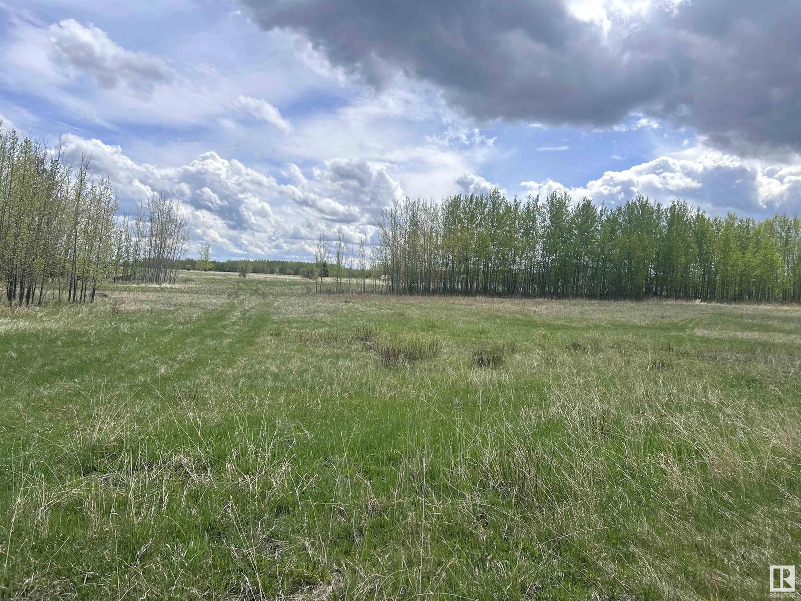 206 49505 Range Road 80, Rural Brazeau County, Alberta  T7A 0C1 - Photo 2 - E4389279