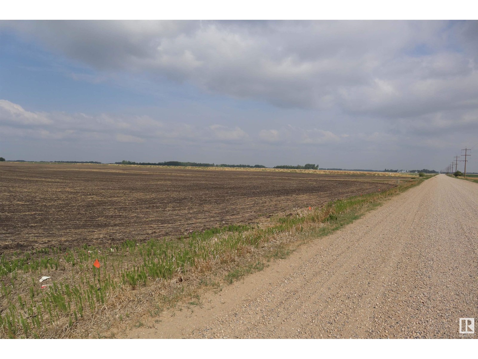 Part Of Se-31-49-26-4, Calmar, Alberta  T0C 0V0 - Photo 9 - E4390807