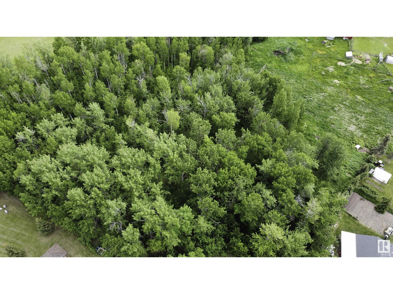 47 15025 Twp Rd 470, Rural Wetaskiwin County, Alberta  T0C 2V0 - Photo 5 - E4391444