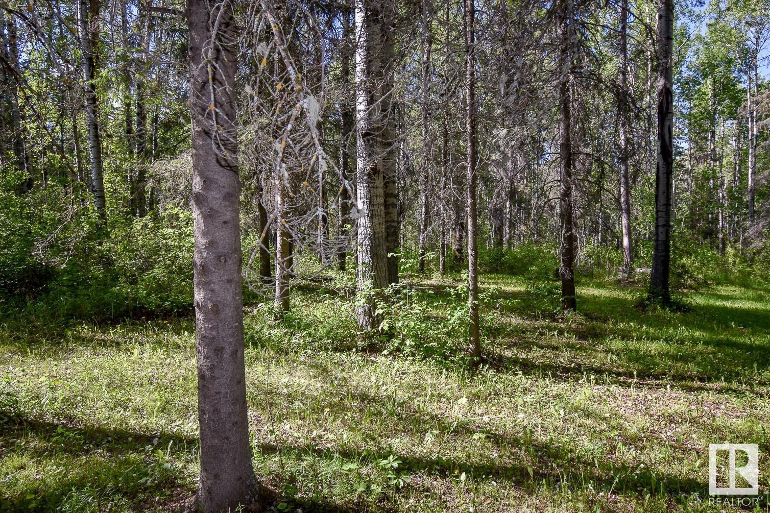 53203a Rge Rd 40a, Rural Parkland County, Alberta  T0E 2K0 - Photo 33 - E4391661