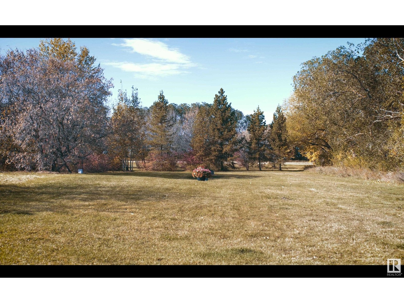 A 48219 Rge Rd 251, Rural Leduc County, Alberta  T0C 1Z0 - Photo 24 - E4391757