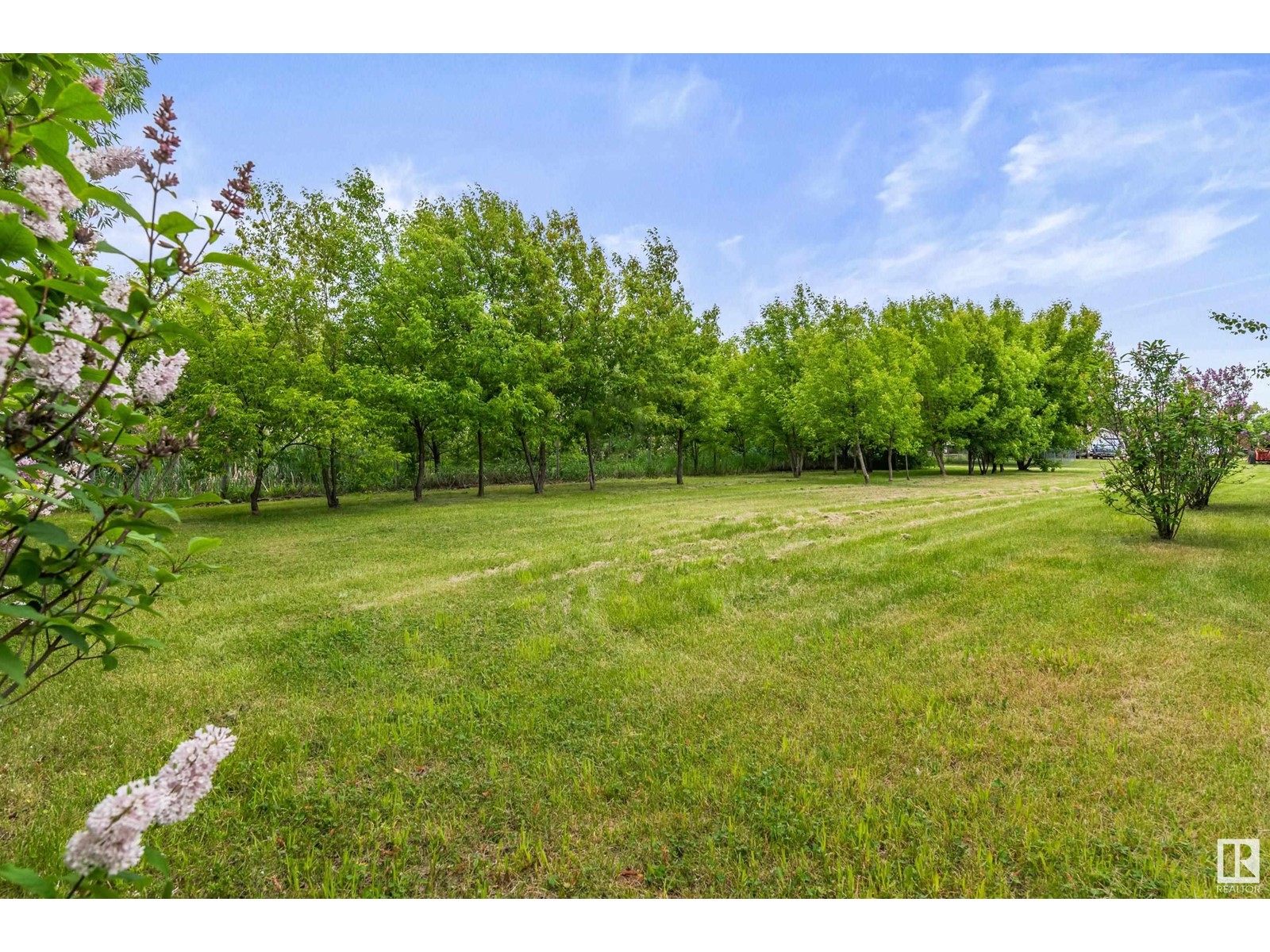 A 48219 Rge Rd 251, Rural Leduc County, Alberta  T0C 1Z0 - Photo 66 - E4391757