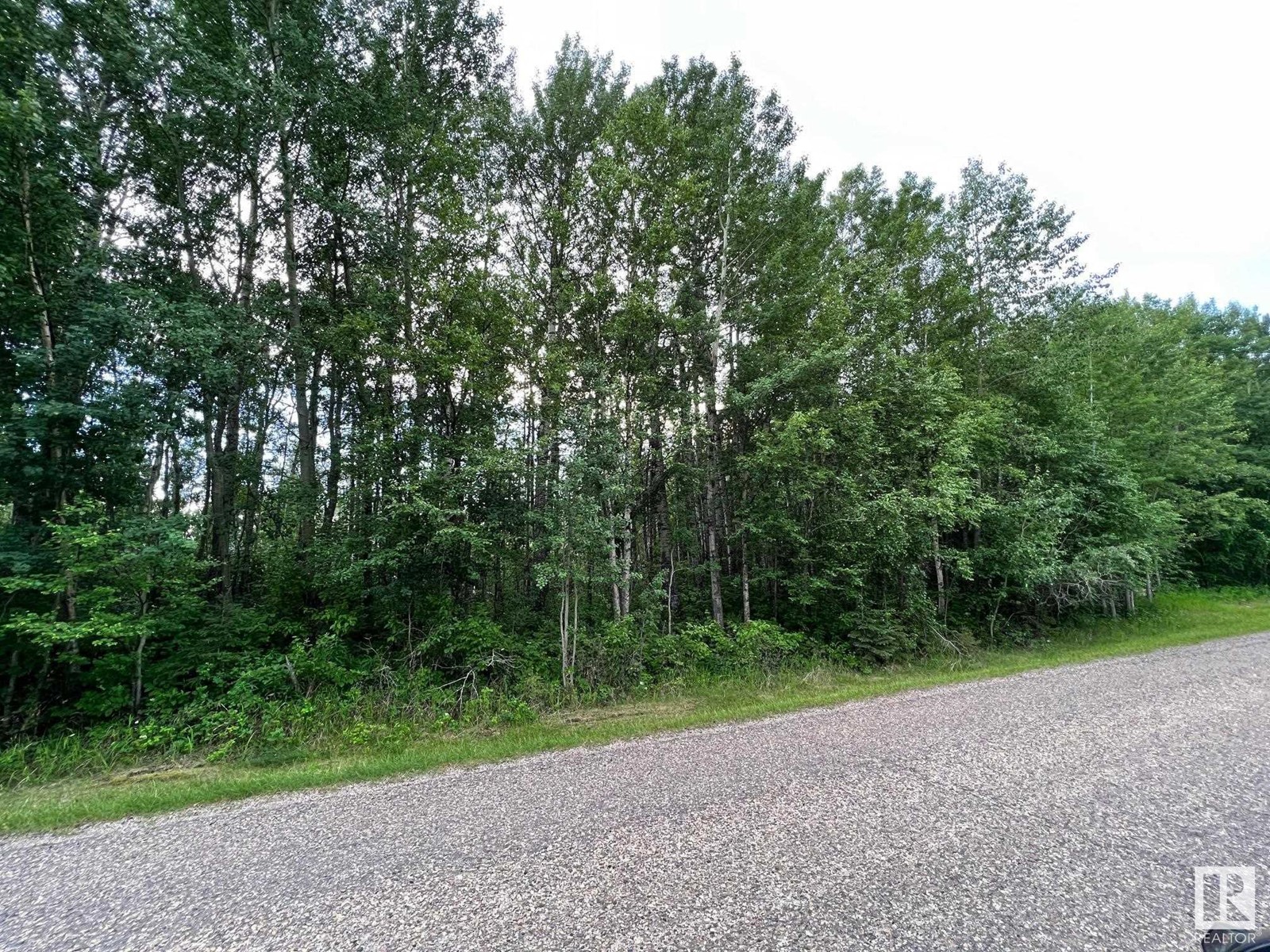 2130 2001 Twp Rd 474, Rural Leduc County, Alberta  T0C 2P0 - Photo 10 - E4393526