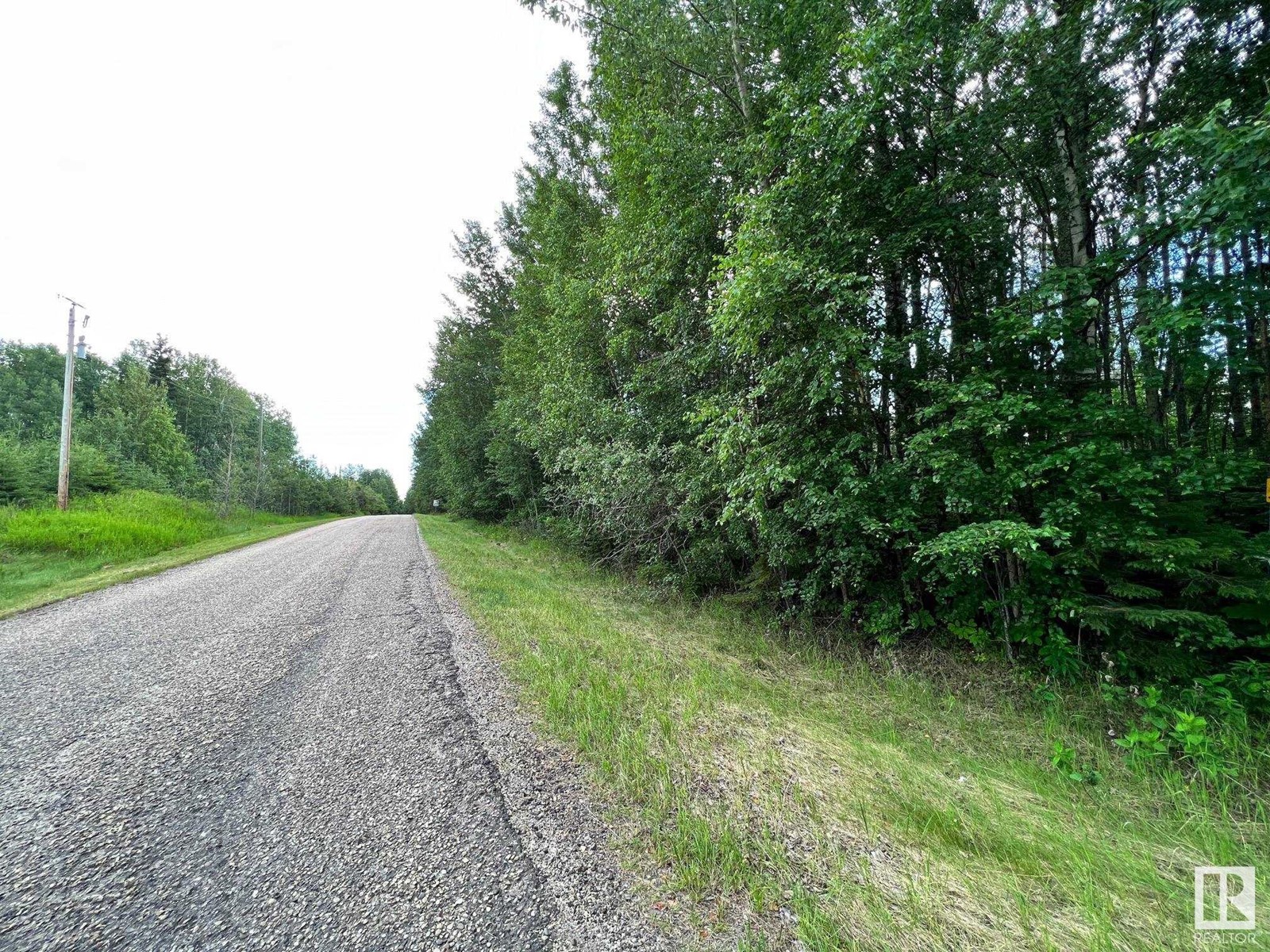 2130 2001 Twp Rd 474, Rural Leduc County, Alberta  T0C 2P0 - Photo 9 - E4393526