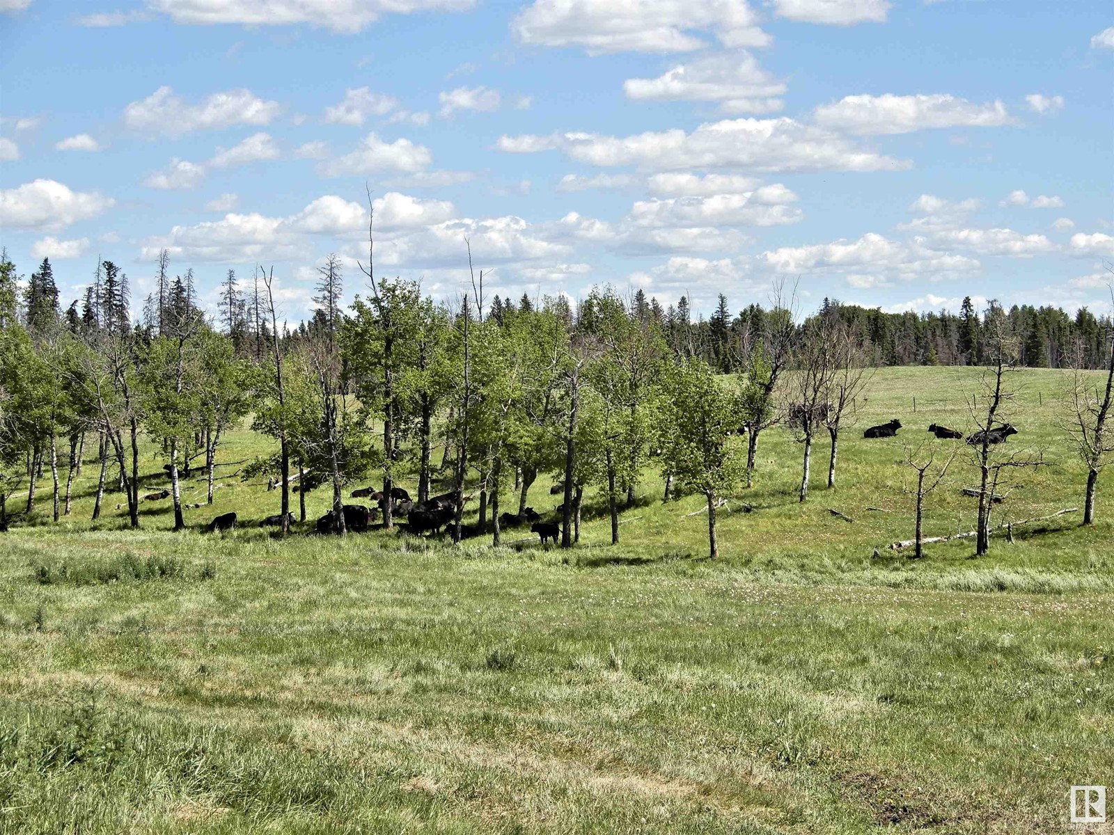 58001 Rge Rd 90, Rural Lac Ste. Anne County, Alberta  T0E 1N0 - Photo 26 - E4393602