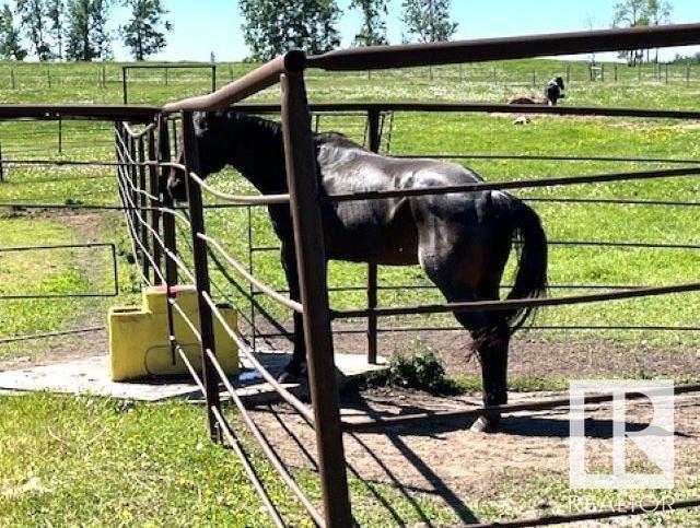 55414 Rge Rd 53a, Rural Lac Ste. Anne County, Alberta  T0E 0J0 - Photo 3 - E4394026