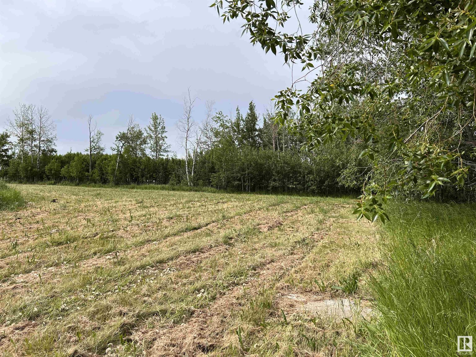 7302 Twp Rd 512, Rural Parkland County, Alberta  T0E 2H0 - Photo 11 - E4394501