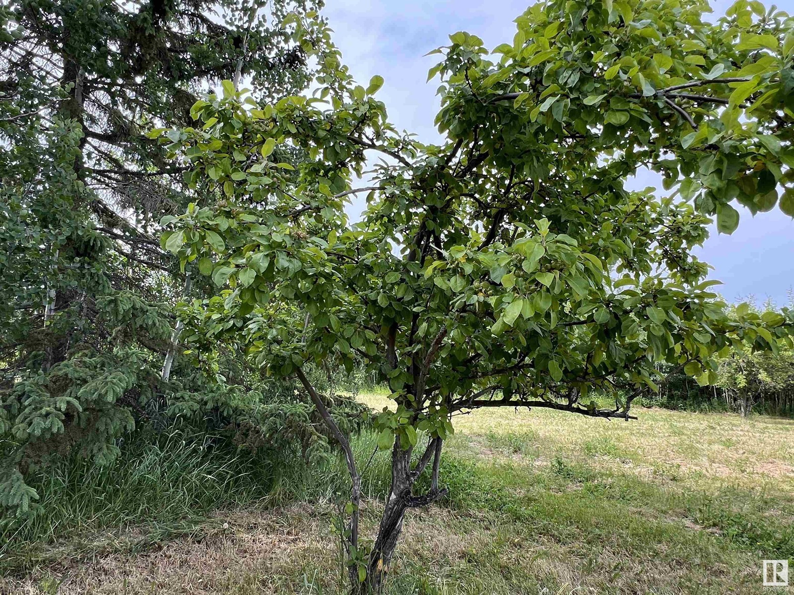 7302 Twp Rd 512, Rural Parkland County, Alberta  T0E 2H0 - Photo 12 - E4394501