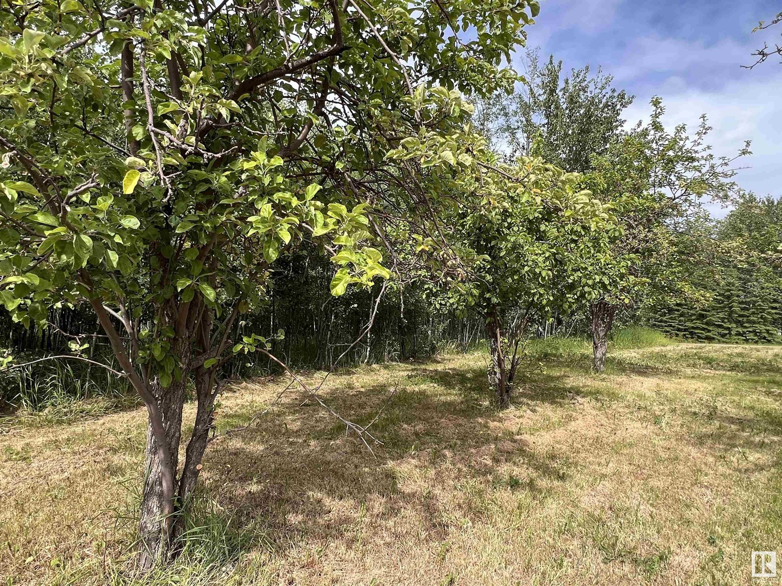 7302 Twp Rd 512, Rural Parkland County, Alberta  T0E 2H0 - Photo 14 - E4394501