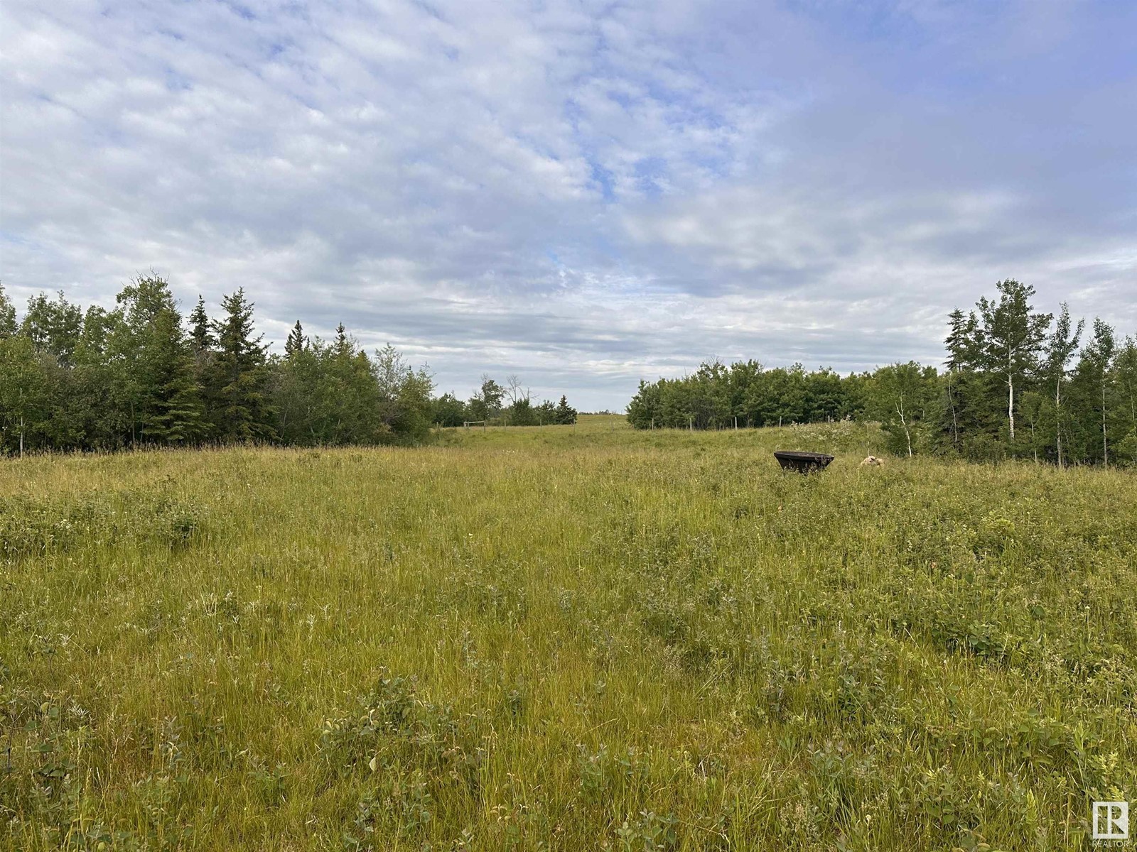 Lot 3 Rr 273 Rd, Rural Sturgeon County, Alberta  T0E 1V0 - Photo 1 - E4394824