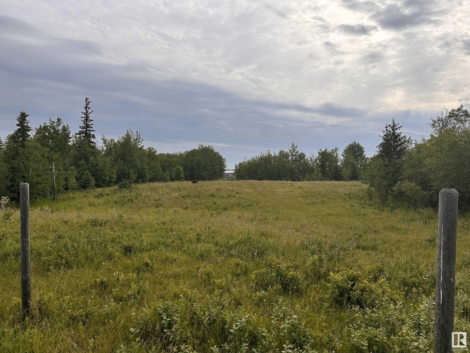 Lot 3 Rr 273 Rd, Rural Sturgeon County, Alberta  T0E 1V0 - Photo 10 - E4394824