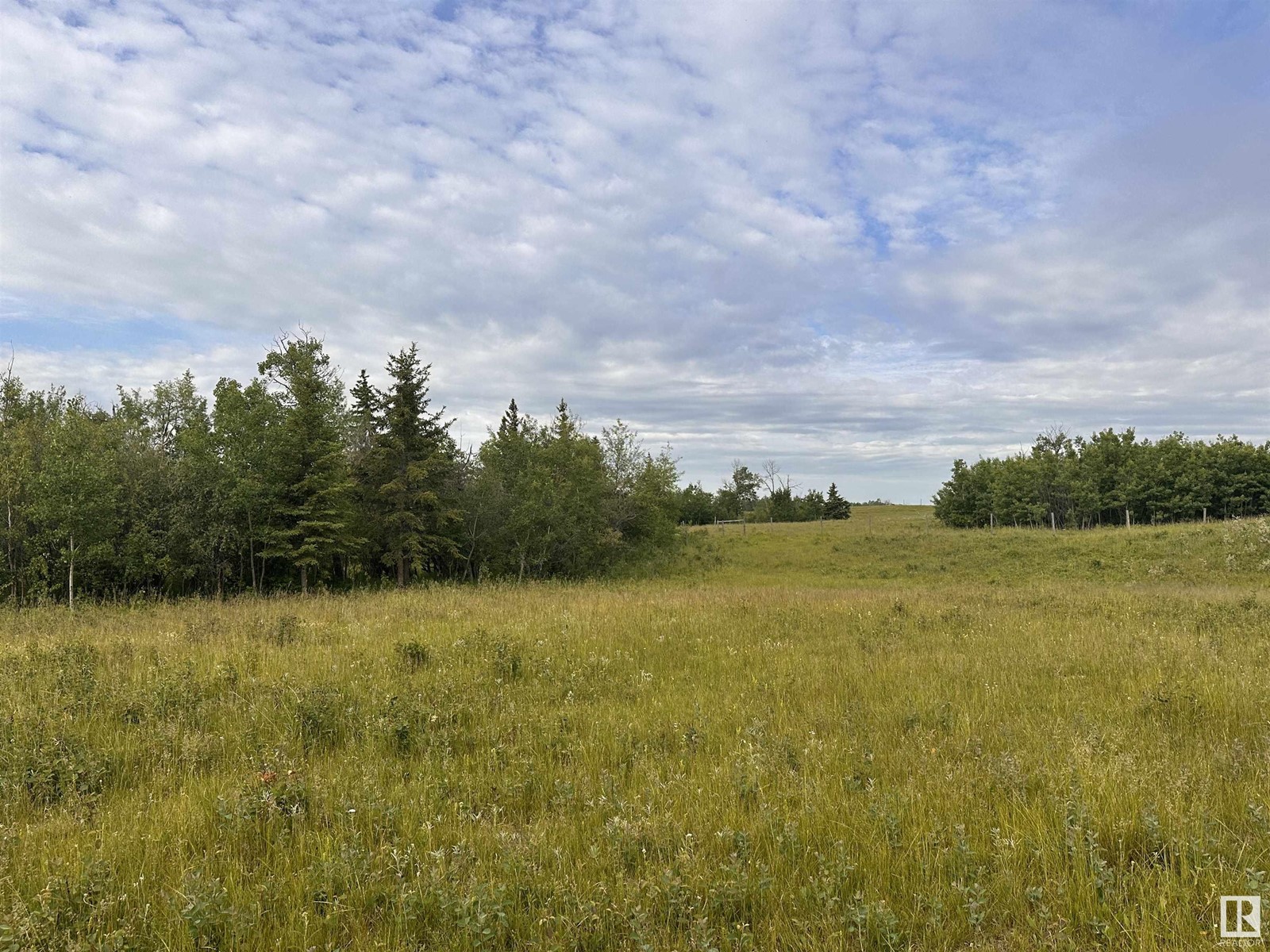 Lot 3 Rr 273 Rd, Rural Sturgeon County, Alberta  T0E 1V0 - Photo 13 - E4394824