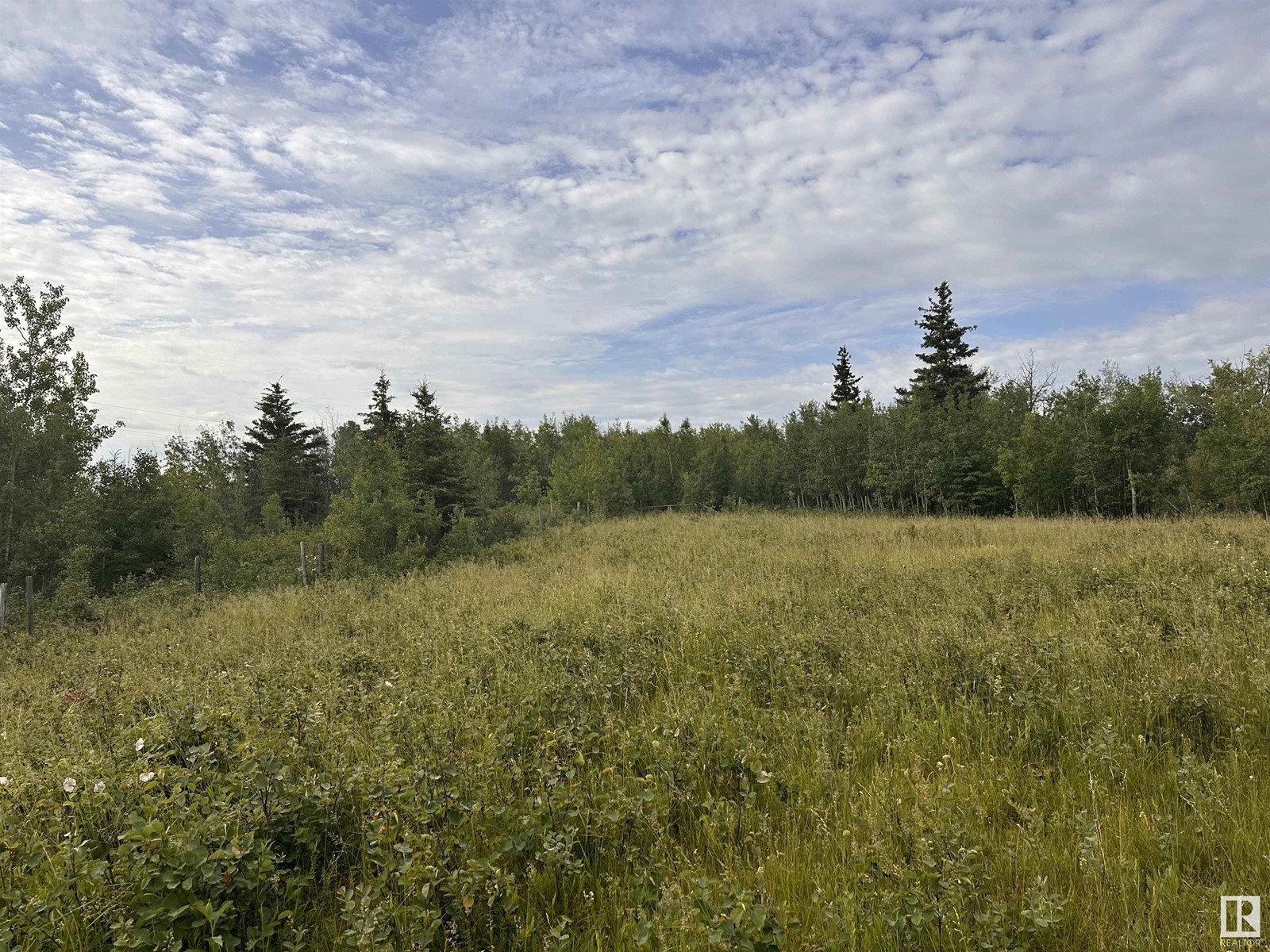 Lot 3 Rr 273 Rd, Rural Sturgeon County, Alberta  T0E 1V0 - Photo 15 - E4394824