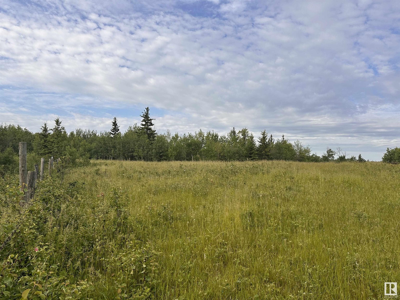 Lot 3 Rr 273 Rd, Rural Sturgeon County, Alberta  T0E 1V0 - Photo 17 - E4394824