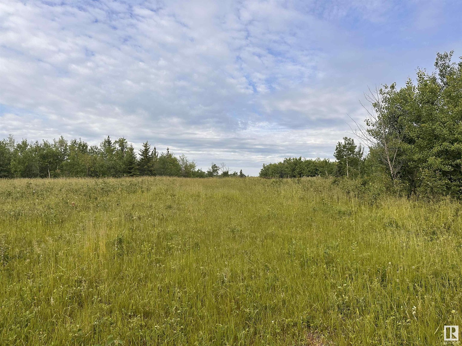 Lot 3 Rr 273 Rd, Rural Sturgeon County, Alberta  T0E 1V0 - Photo 18 - E4394824