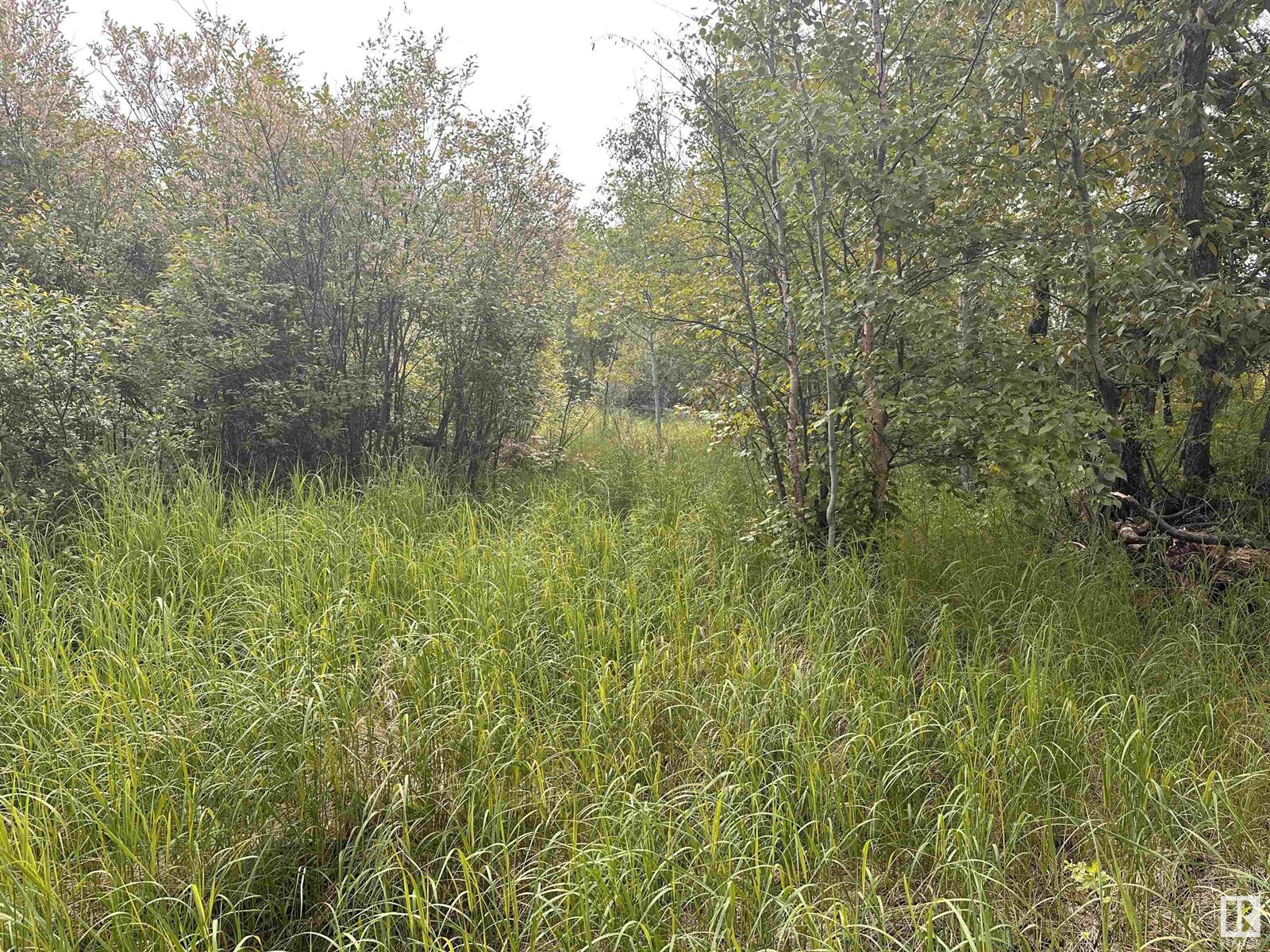 Lot 3 Rr 273 Rd, Rural Sturgeon County, Alberta  T0E 1V0 - Photo 2 - E4394824