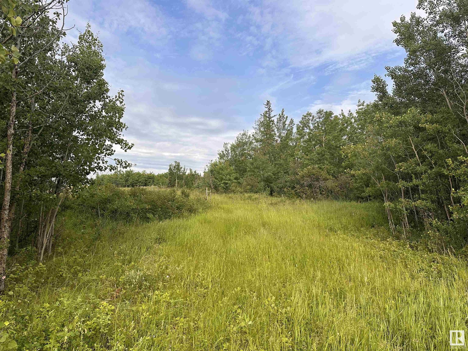 Lot 3 Rr 273 Rd, Rural Sturgeon County, Alberta  T0E 1V0 - Photo 20 - E4394824