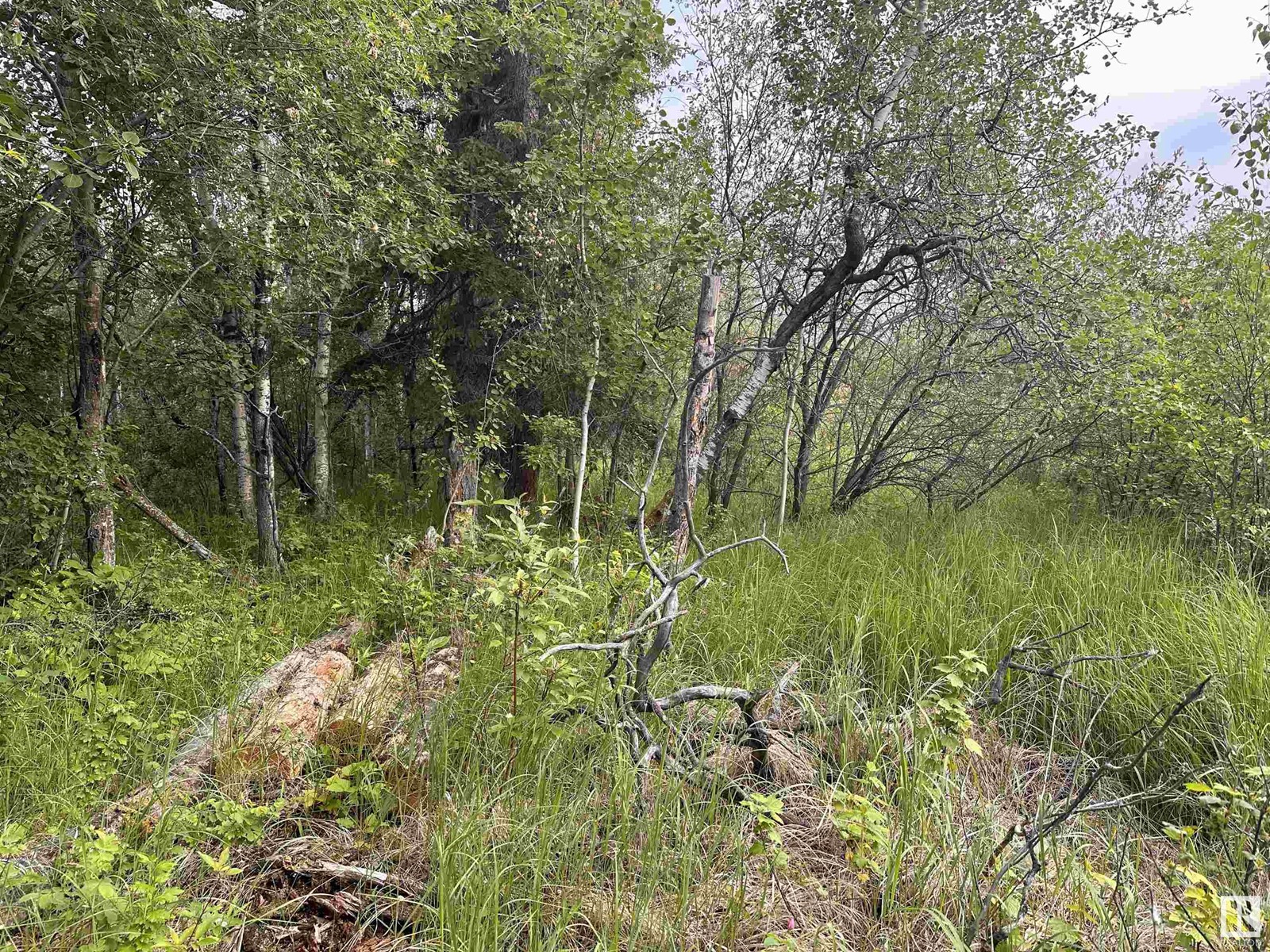 Lot 3 Rr 273 Rd, Rural Sturgeon County, Alberta  T0E 1V0 - Photo 3 - E4394824