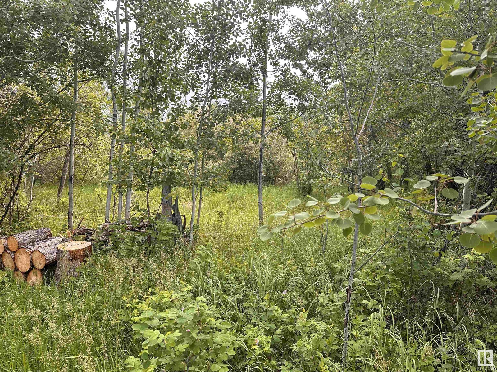 Lot 3 Rr 273 Rd, Rural Sturgeon County, Alberta  T0E 1V0 - Photo 4 - E4394824