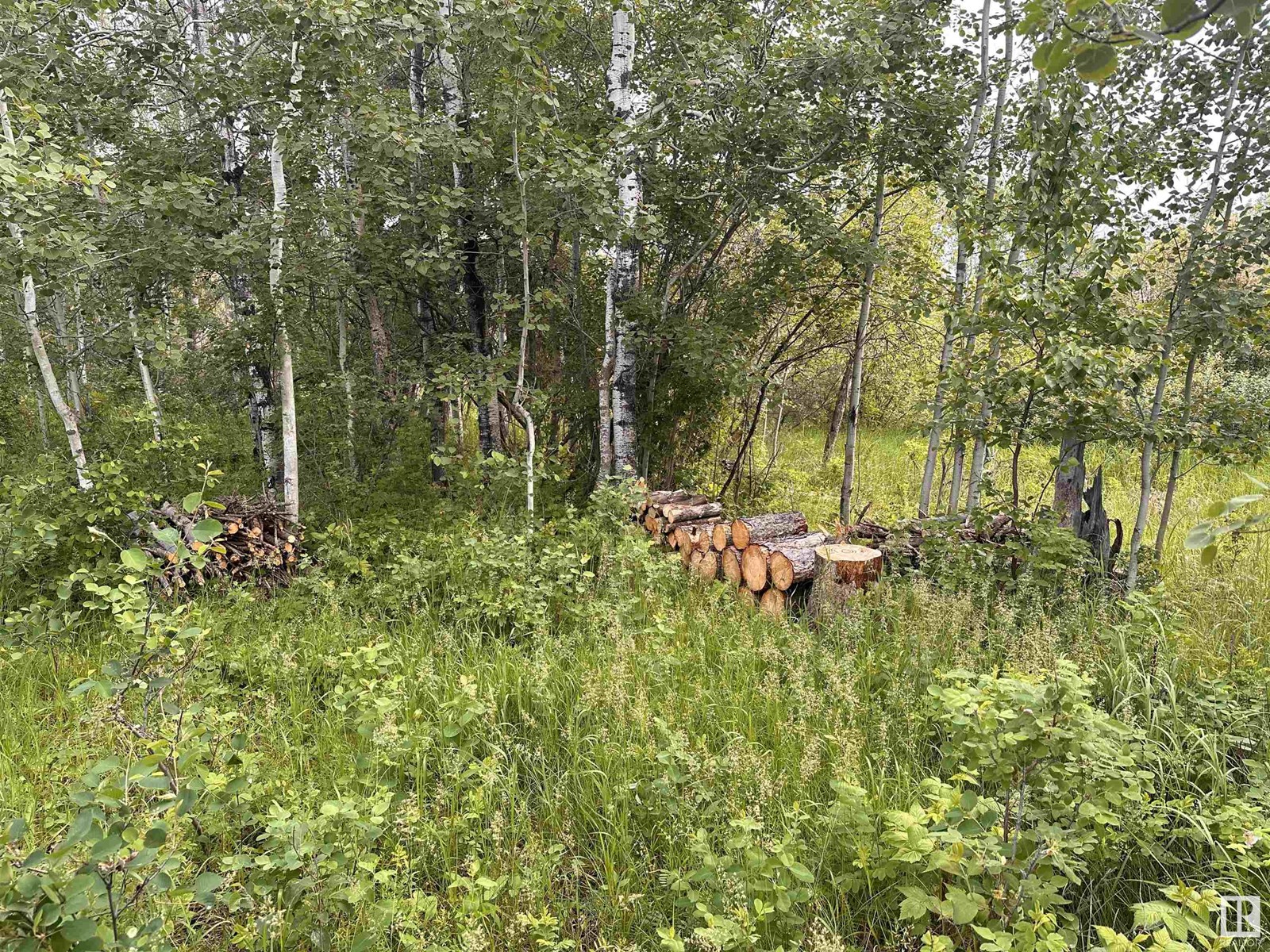 Lot 3 Rr 273 Rd, Rural Sturgeon County, Alberta  T0E 1V0 - Photo 5 - E4394824