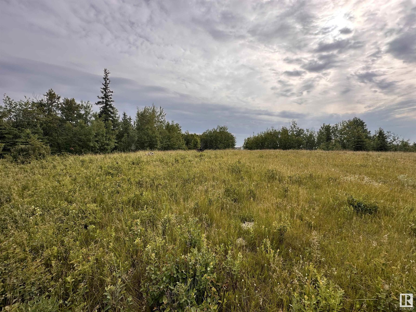 Lot 3 Rr 273 Rd, Rural Sturgeon County, Alberta  T0E 1V0 - Photo 6 - E4394824