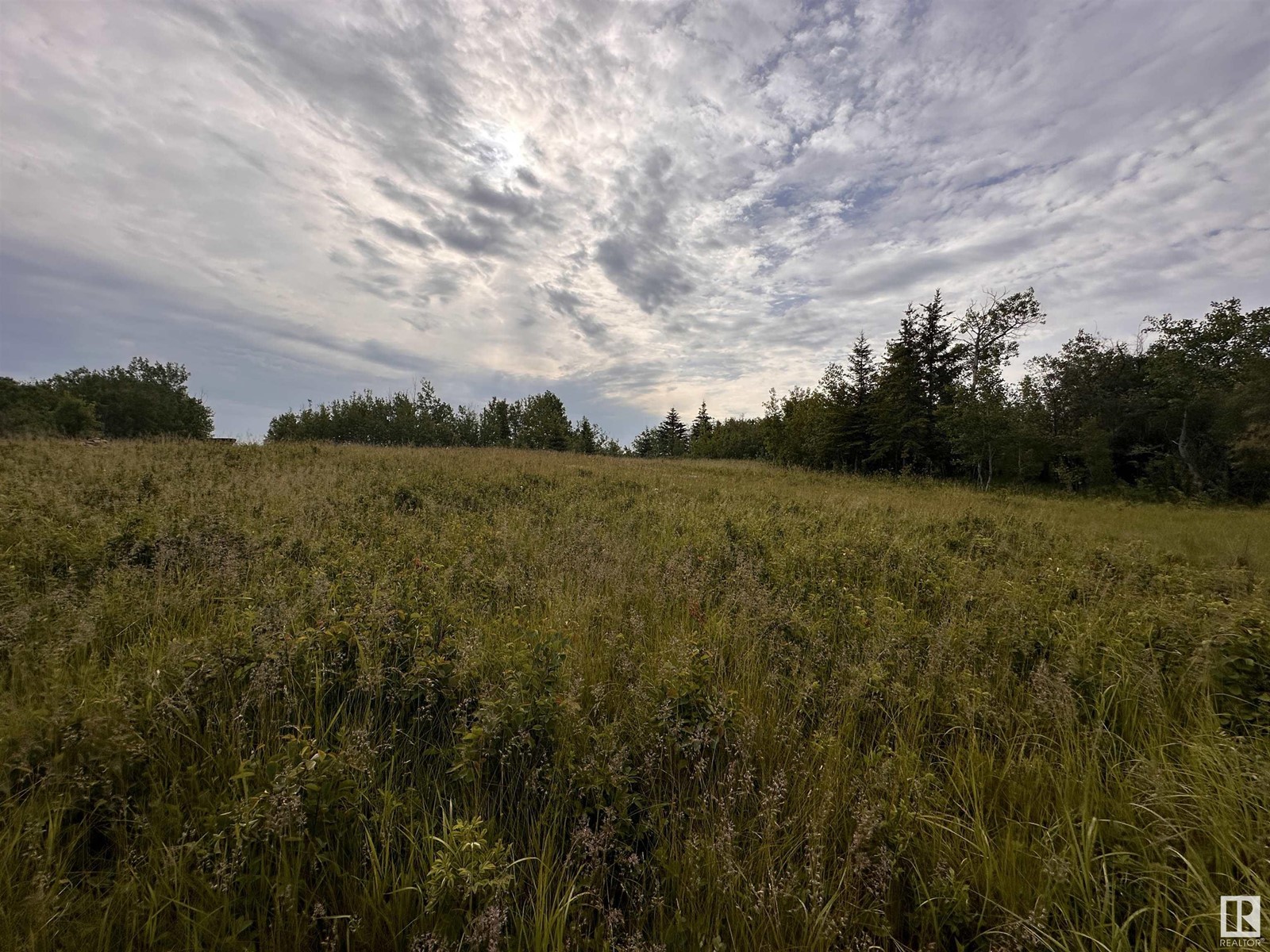 Lot 3 Rr 273 Rd, Rural Sturgeon County, Alberta  T0E 1V0 - Photo 7 - E4394824